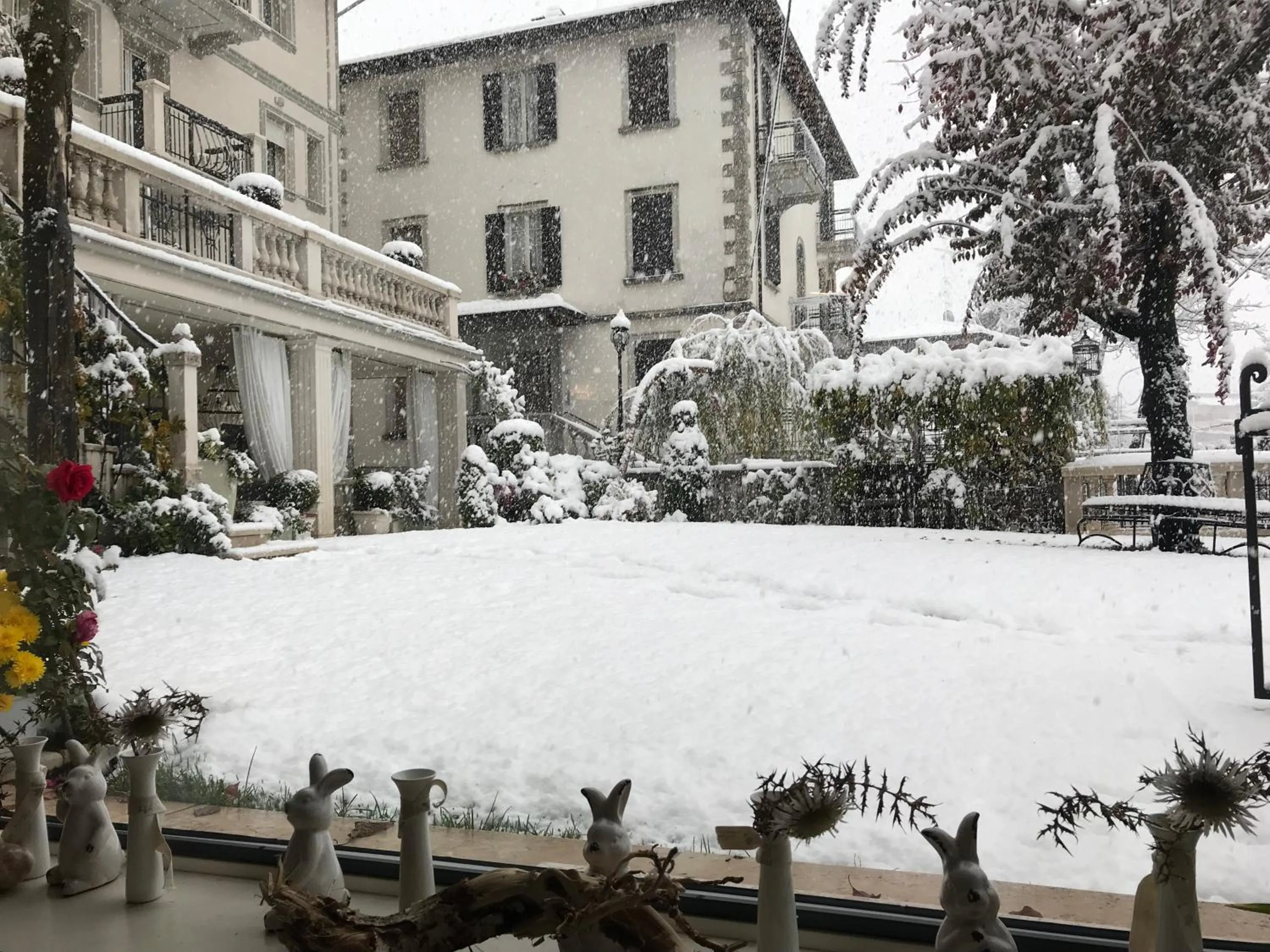 Garden in Hotel Vandelli