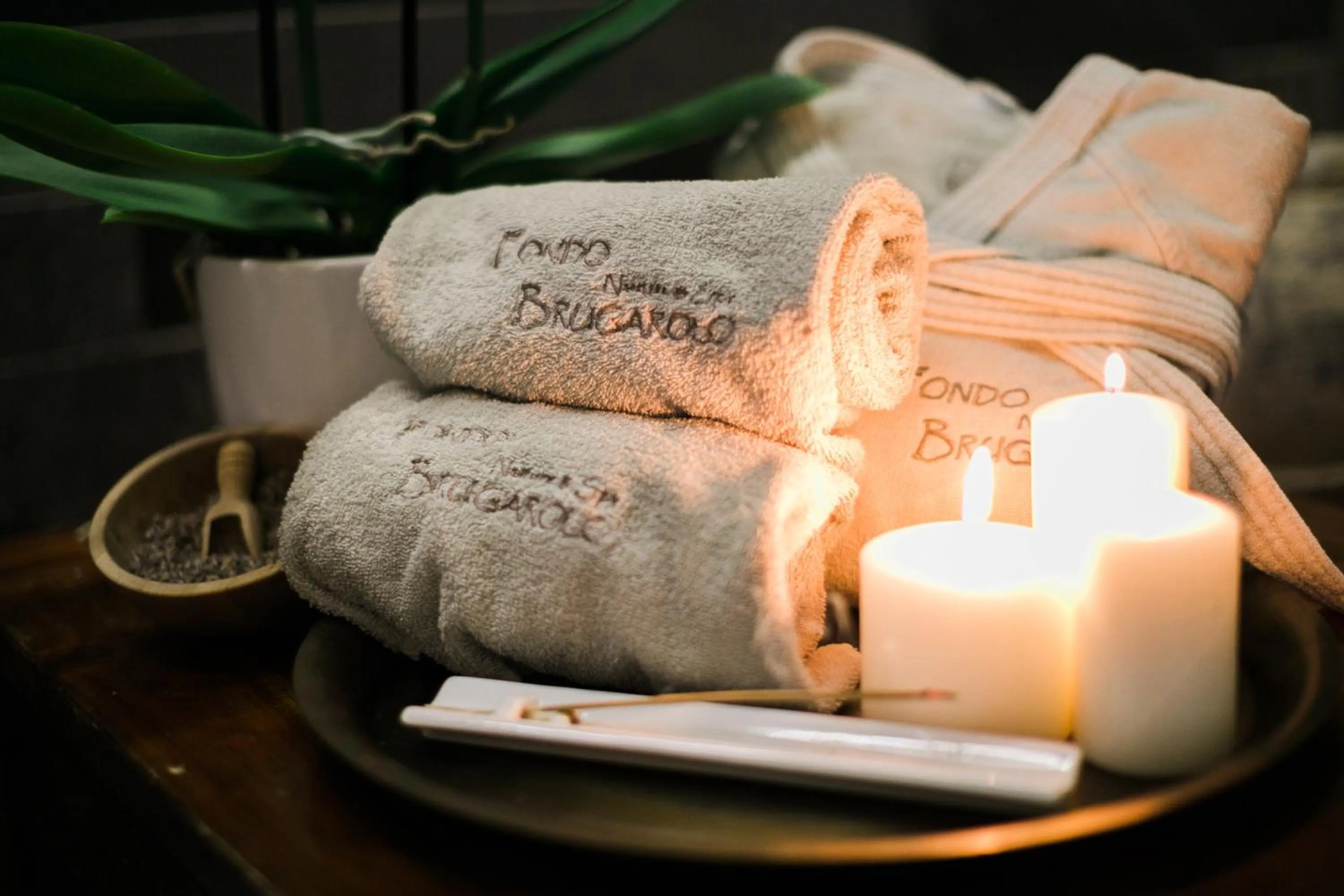 Area and facilities in Fondo Brugarolo B&B