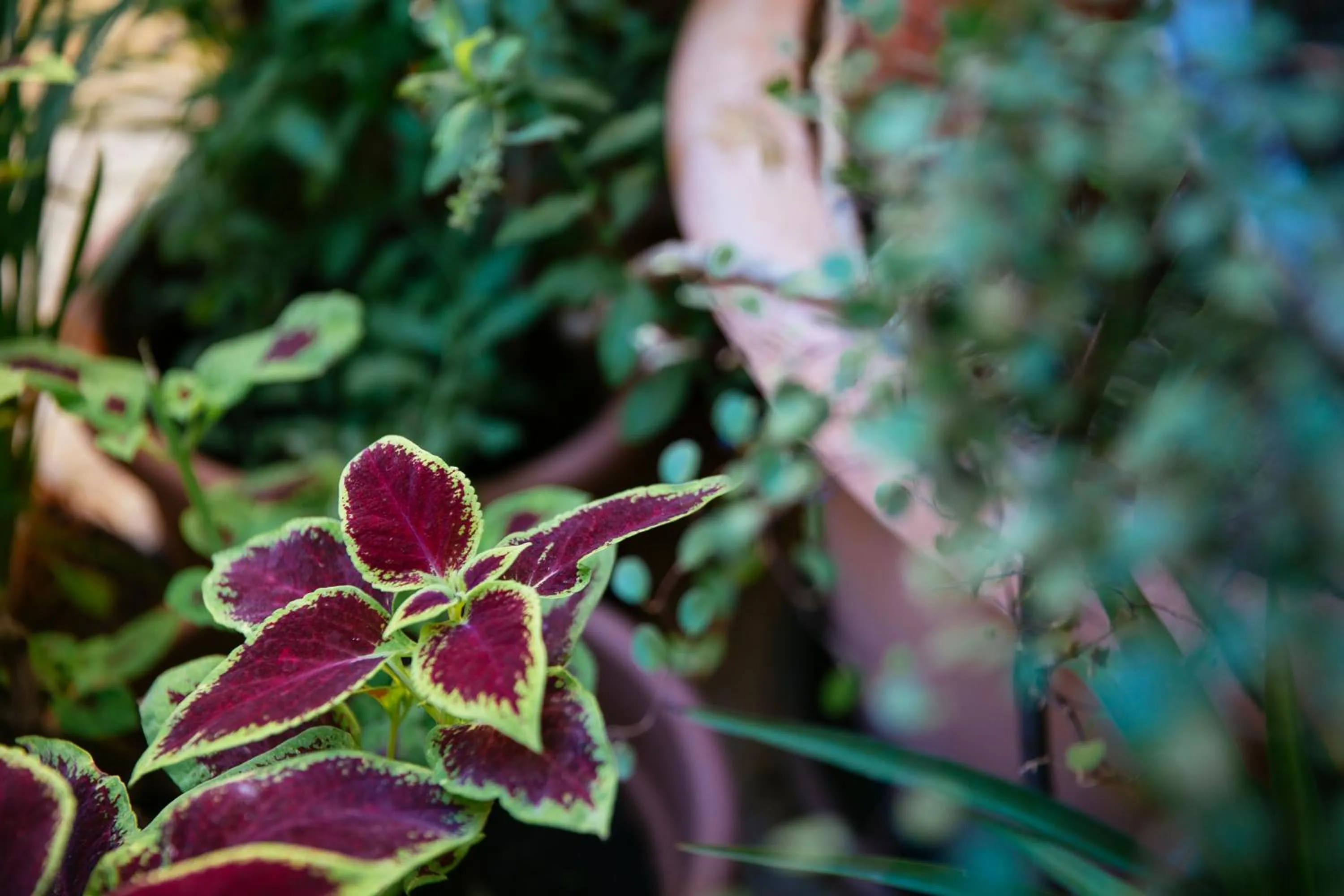 Patio in Hotel Baglio Catalano