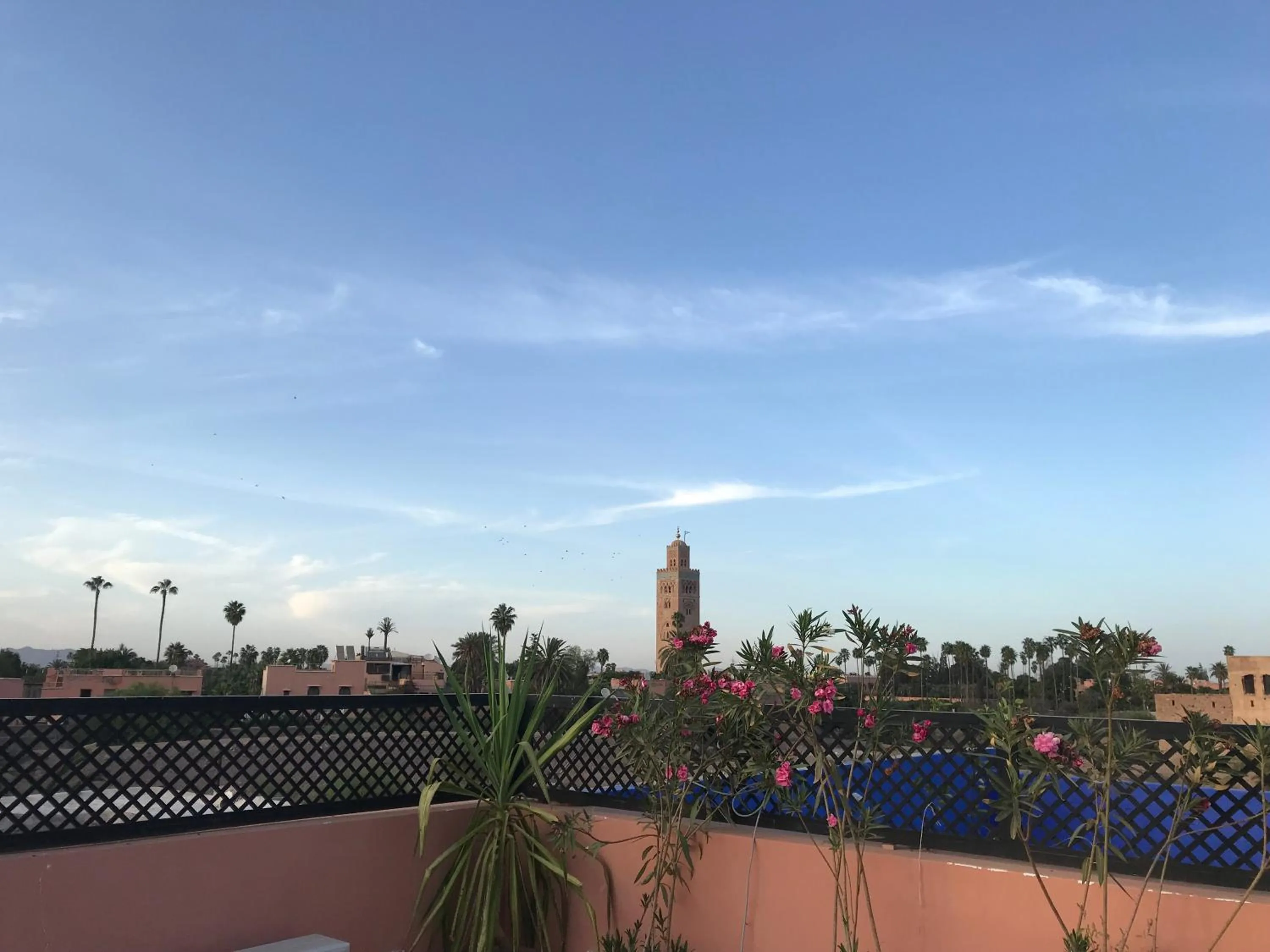 Internal: Not applicable to any particular room in Riad Marchica