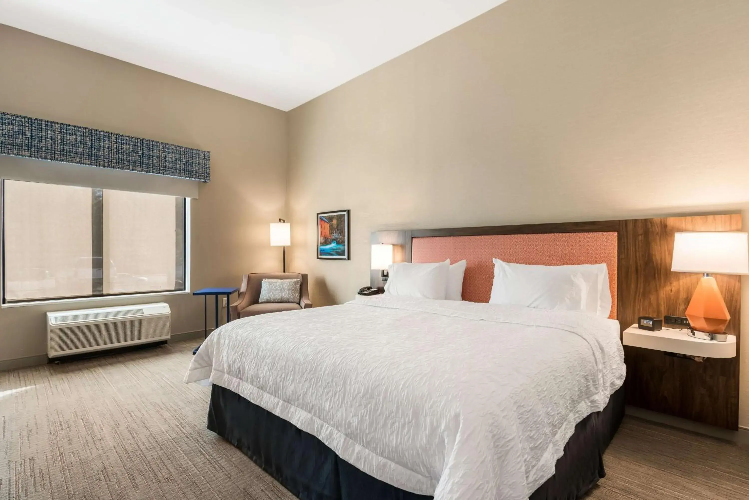 King Room with Accessible Tub - Mobility and Hearing Access/Non-Smoking in Hampton Inn Batesville, Ar King Room with Accessible Tub - Mobility and Hearing Access/Non-Smoking in Hampton Inn Batesville, Ar