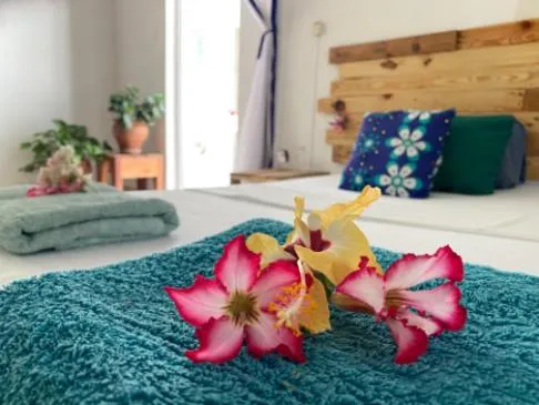 Bed in Salty's Kitesurf Village