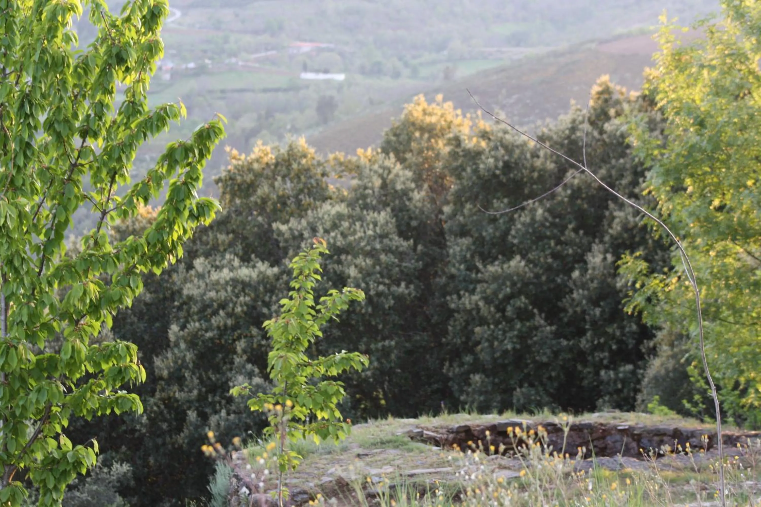 Nearby landmark in O Bilhó