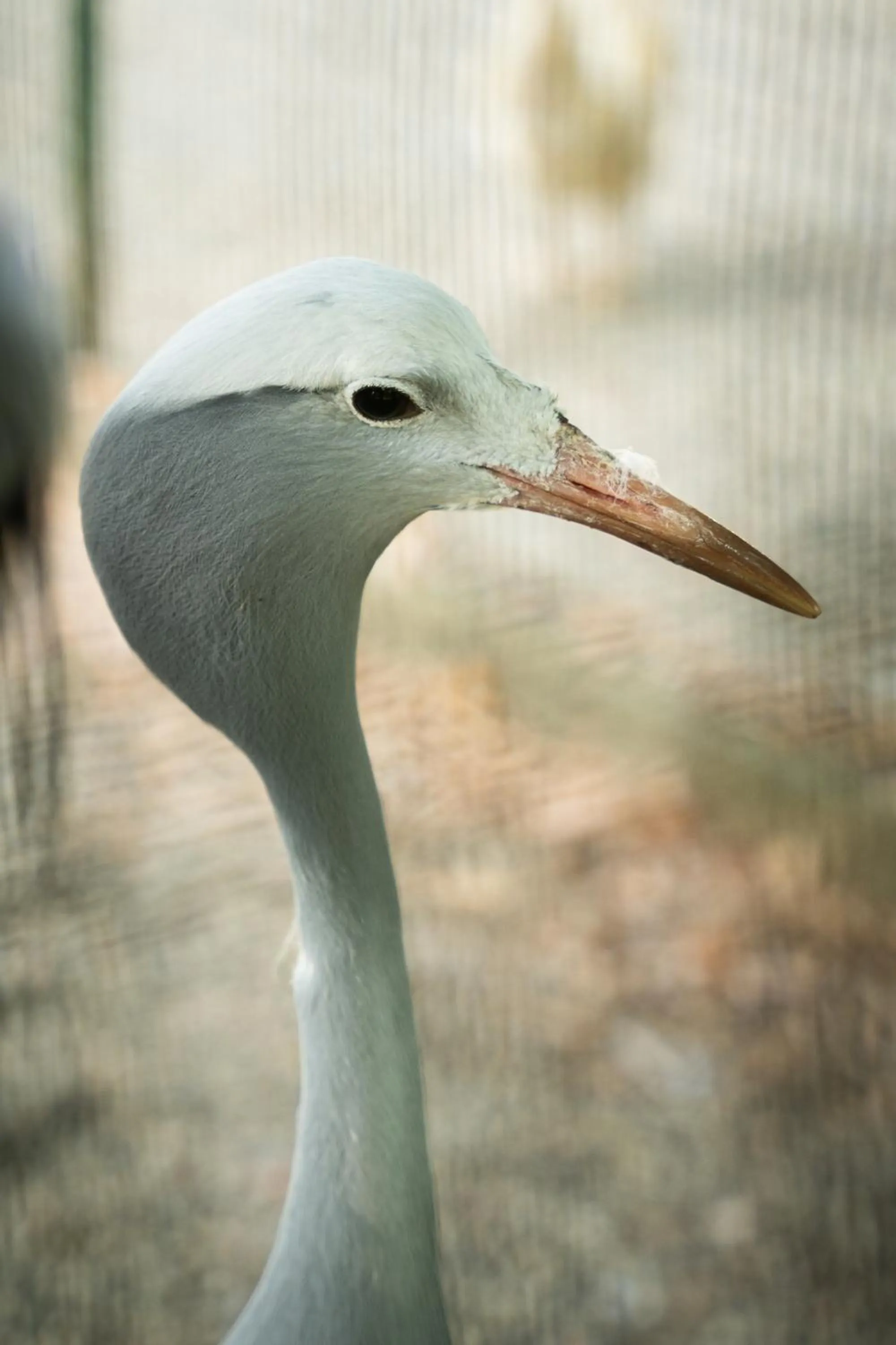 Terme Di Monte Valenza
