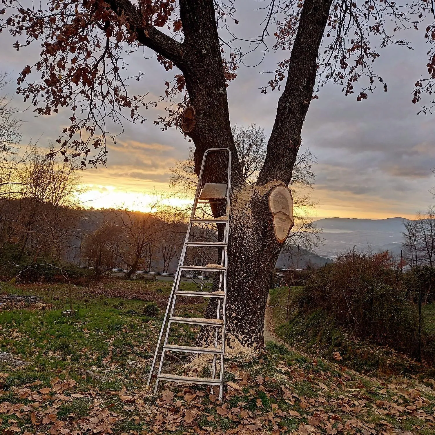 Sea view, Sunrise/Sunset in Il Nido Del Cuculo