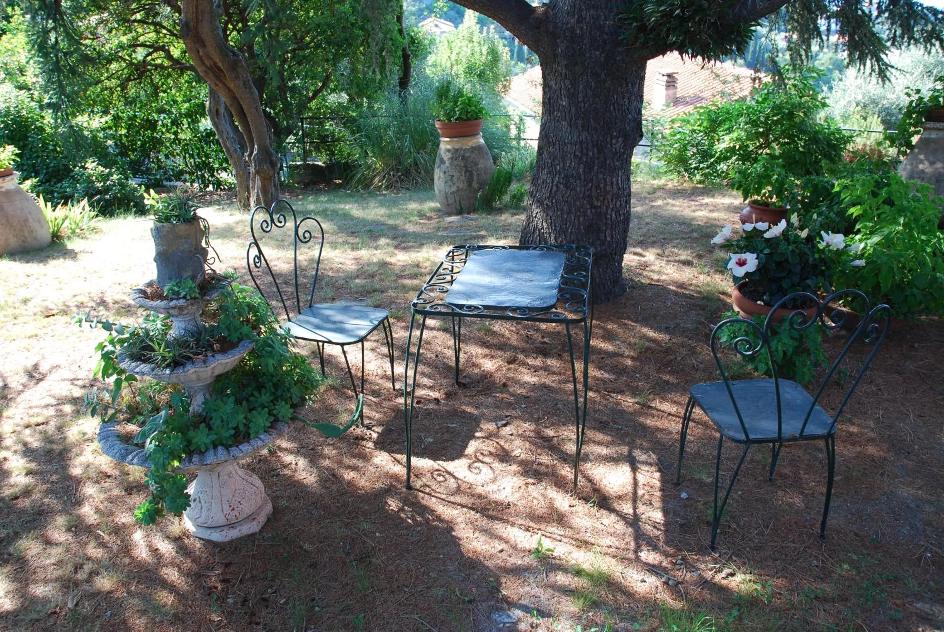Garden in Villa Rocca Leivi