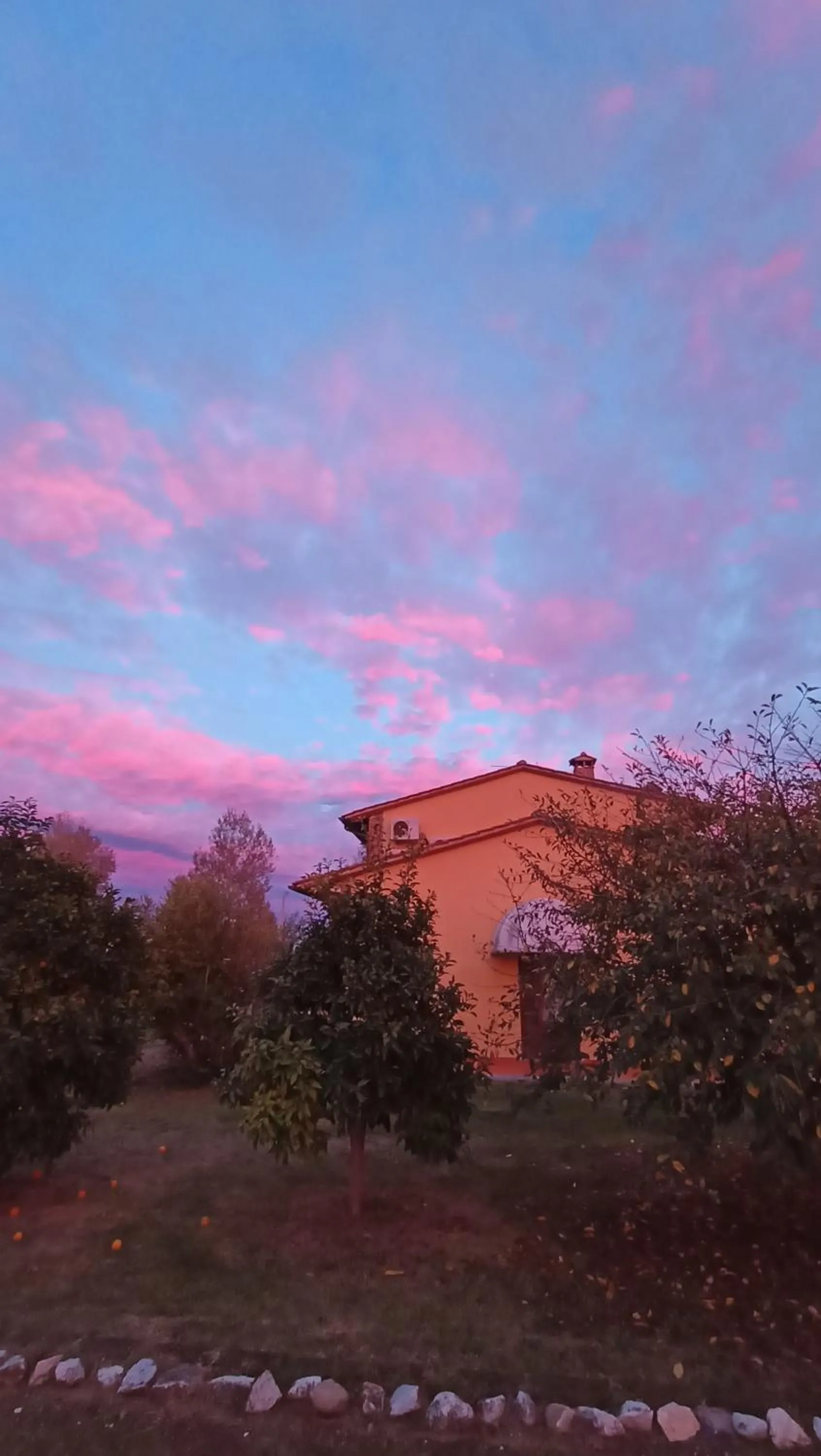 Property building in il Chiassetto Agriturismo No Kids