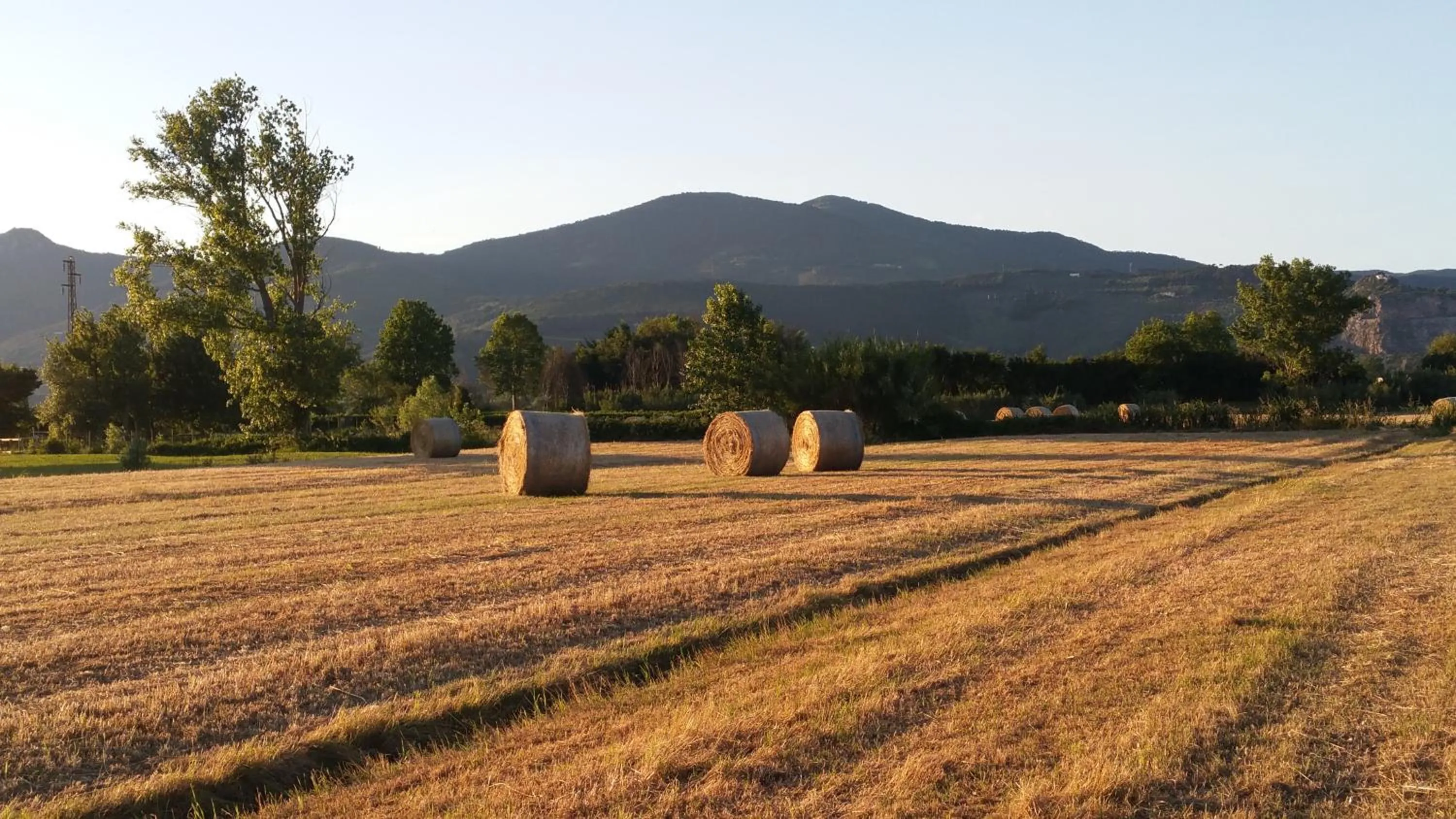 Natural landscape in il Chiassetto Agriturismo No Kids