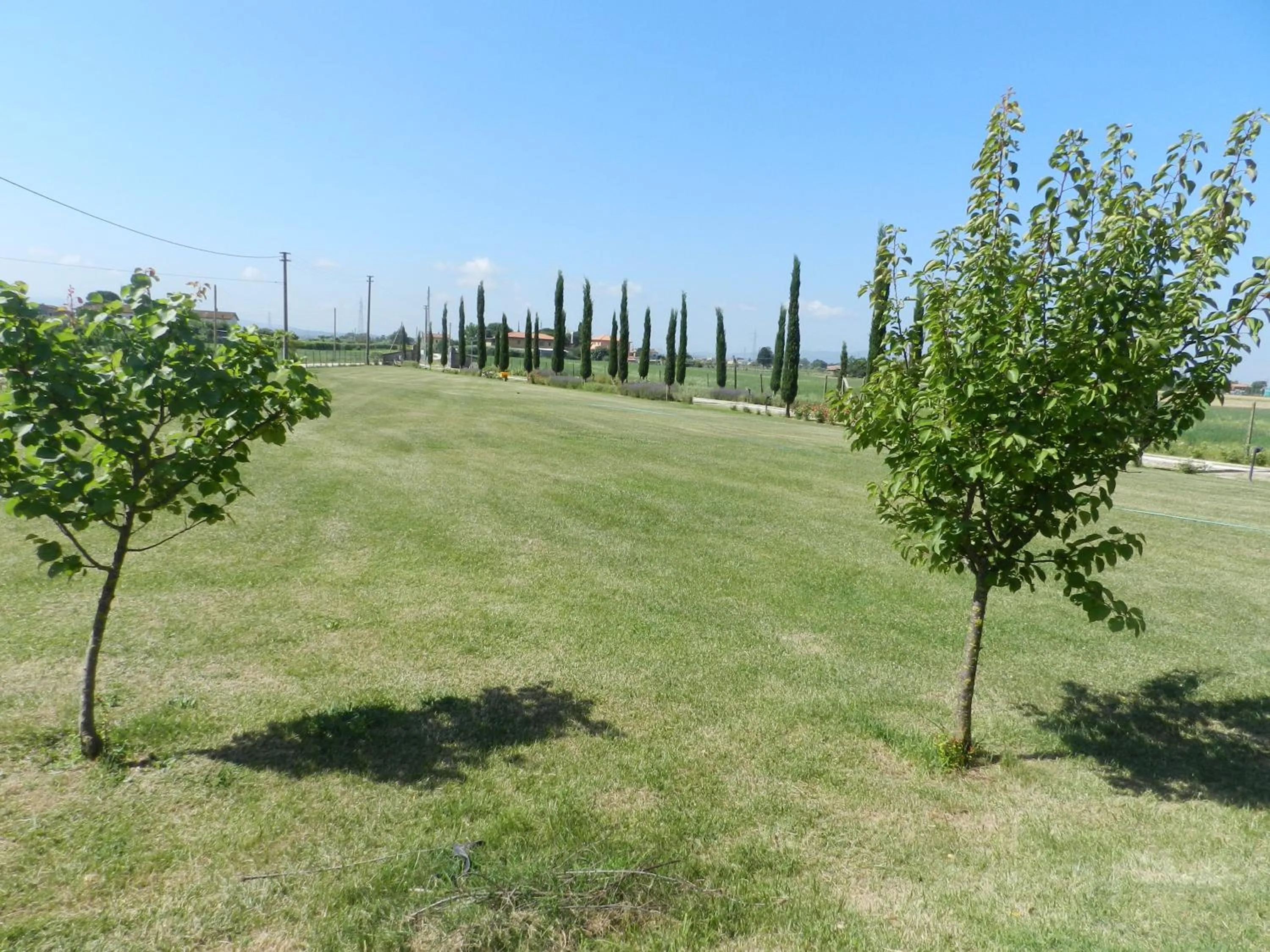 Garden in il Chiassetto Agriturismo No Kids