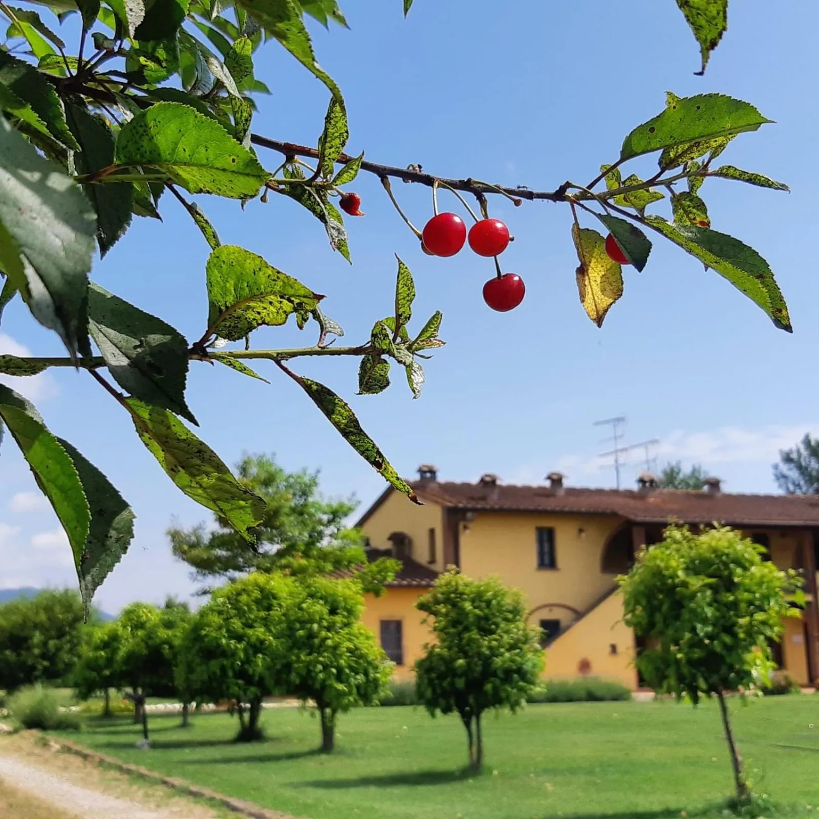 Property building in il Chiassetto Agriturismo No Kids