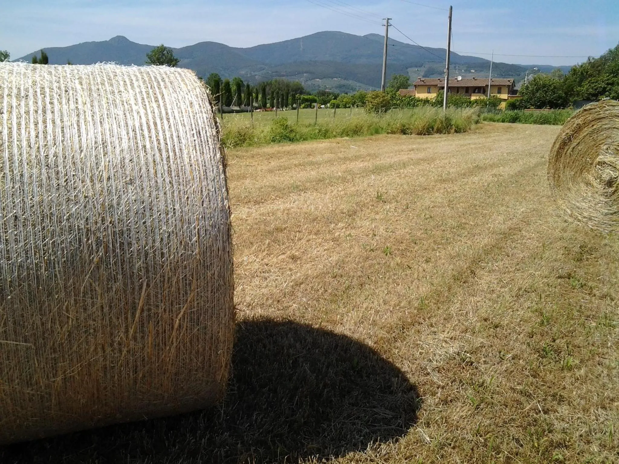 Spring in il Chiassetto Agriturismo No Kids