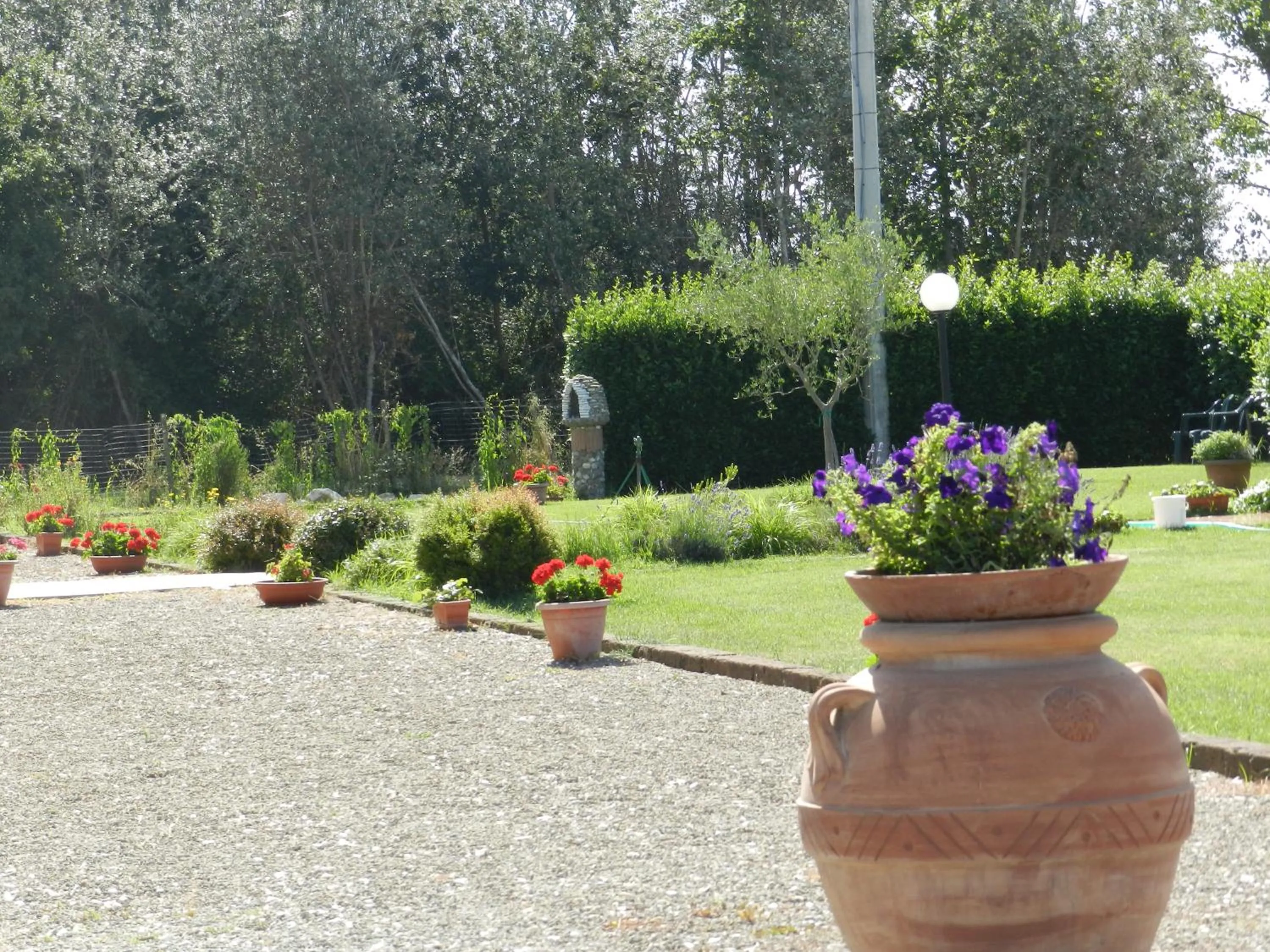 Garden in il Chiassetto Agriturismo No Kids