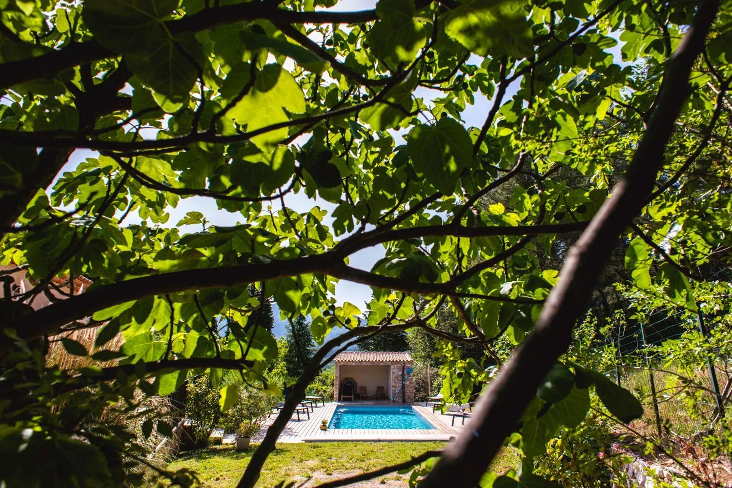 Les Manaux en Provence