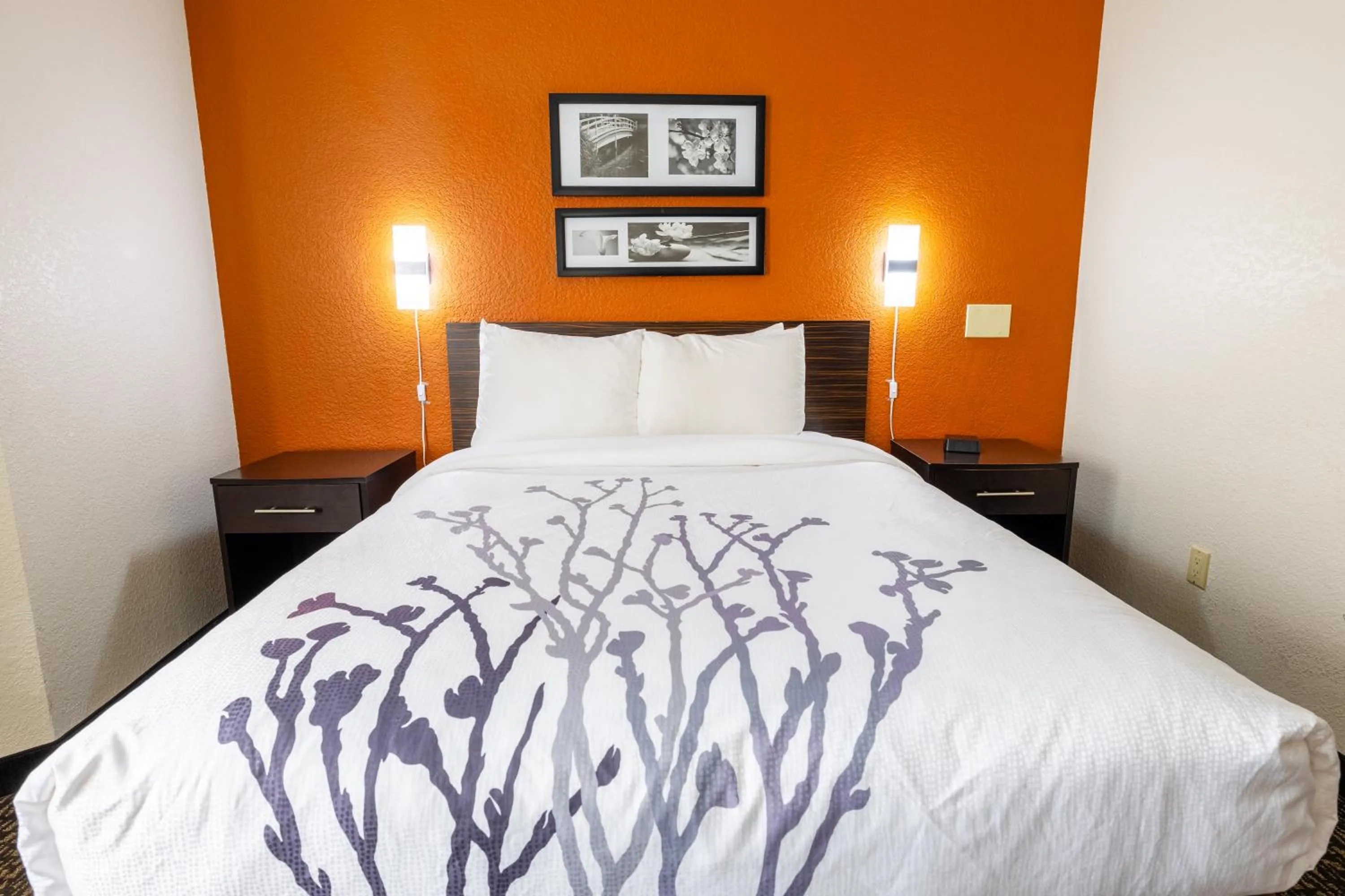 Bed in Sleep Inn Ormond Beach - Daytona