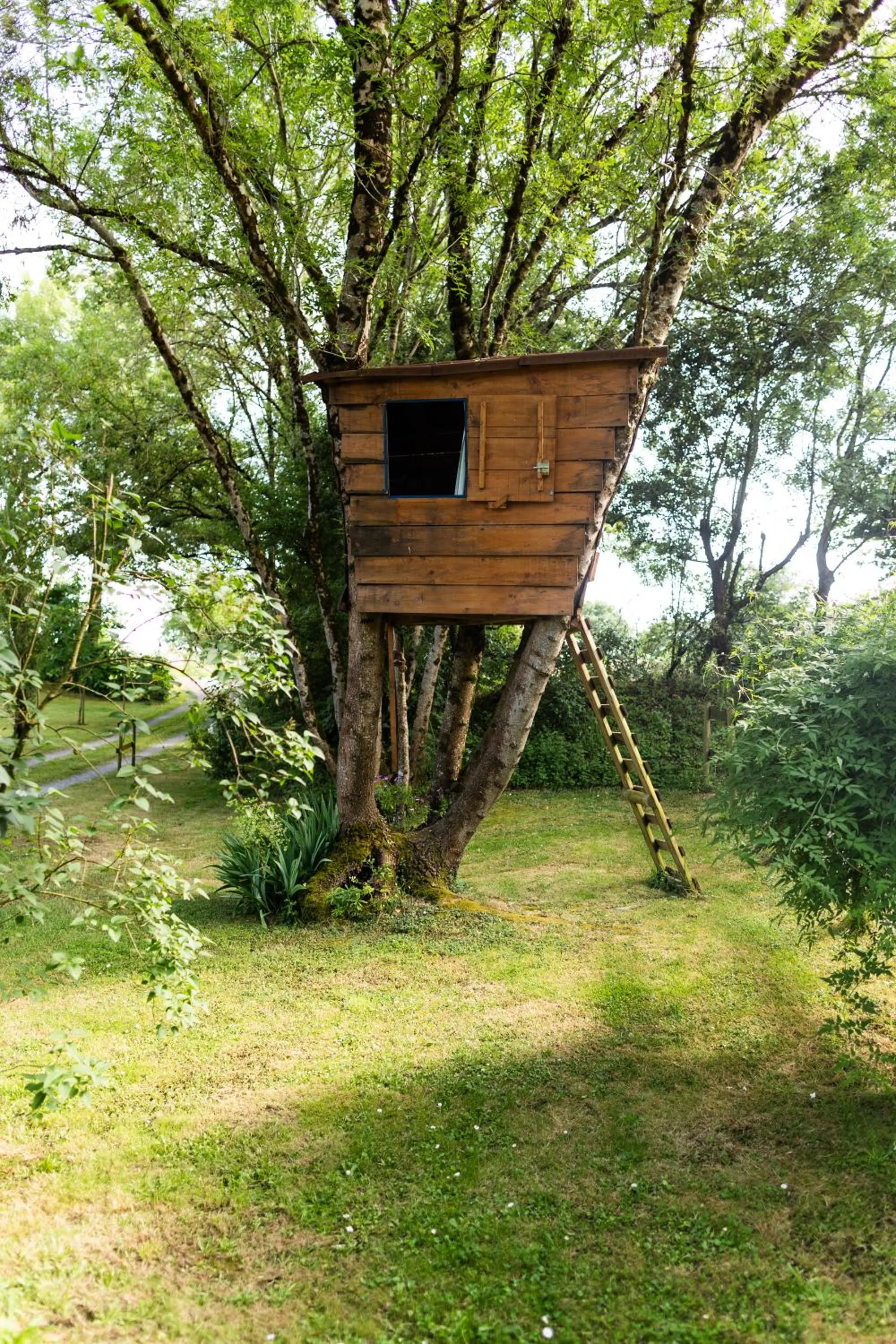 Garden in L'instant jardin