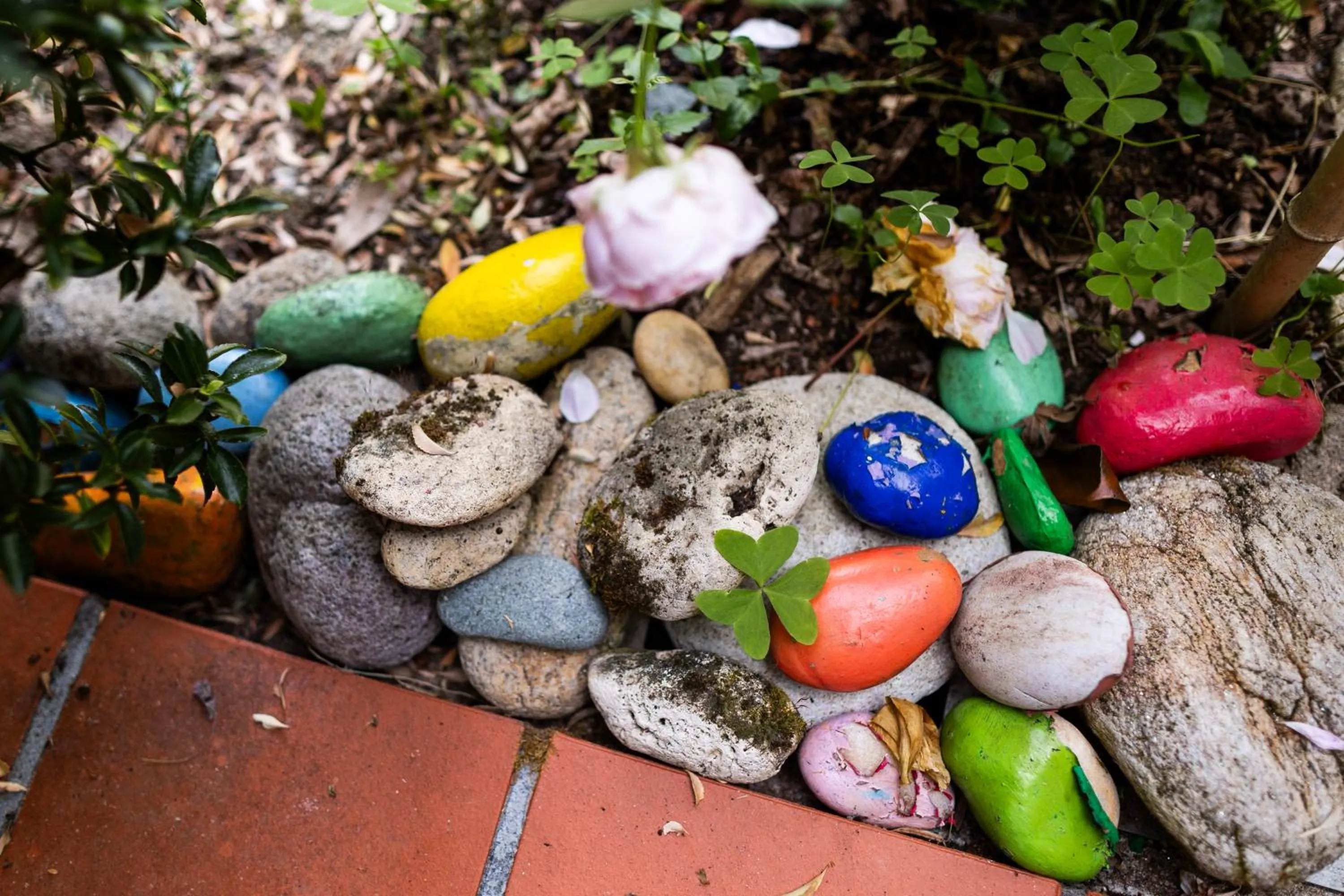 Garden in L'instant jardin