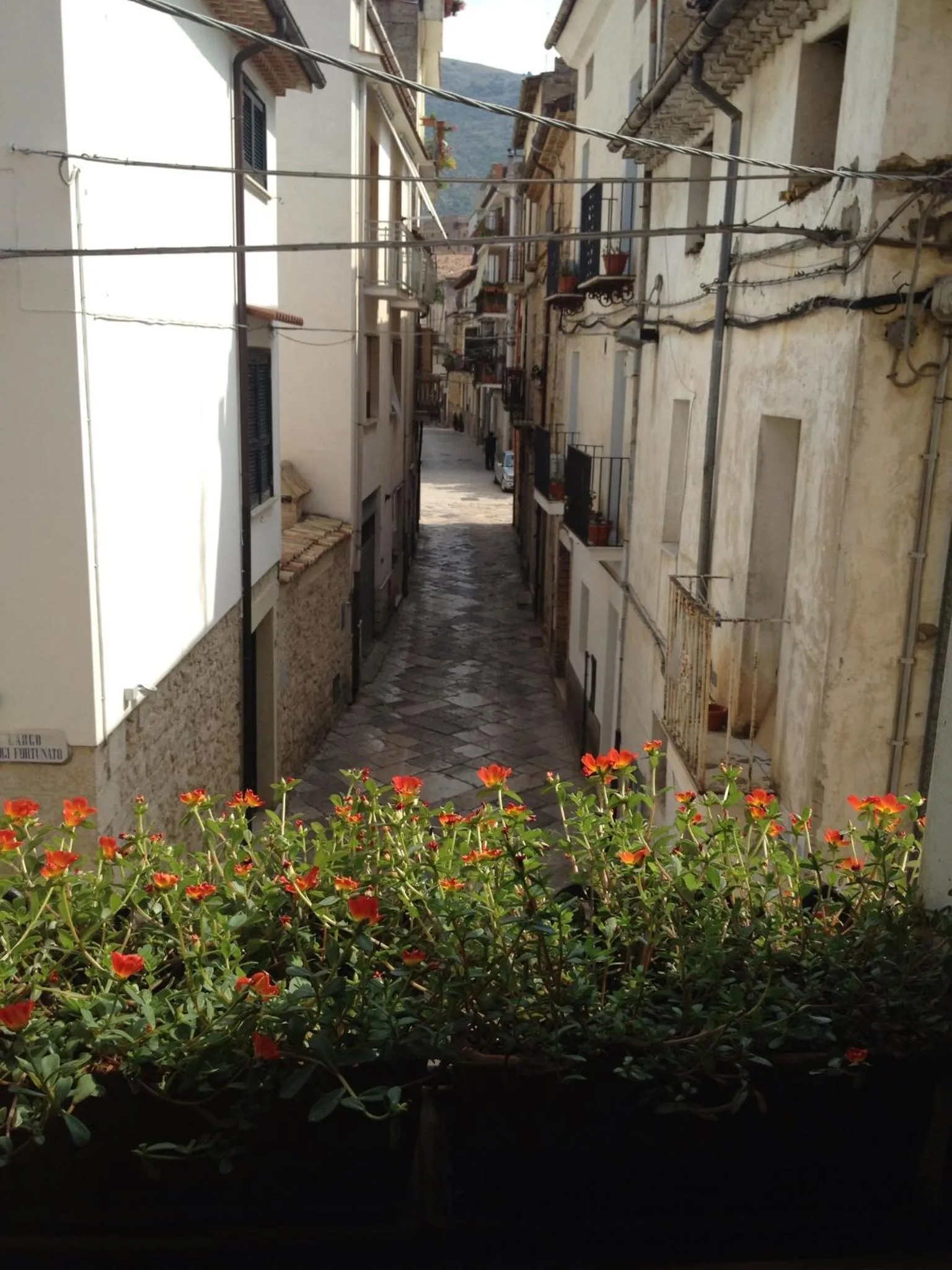 Day in Bed And Breakfast Mblò