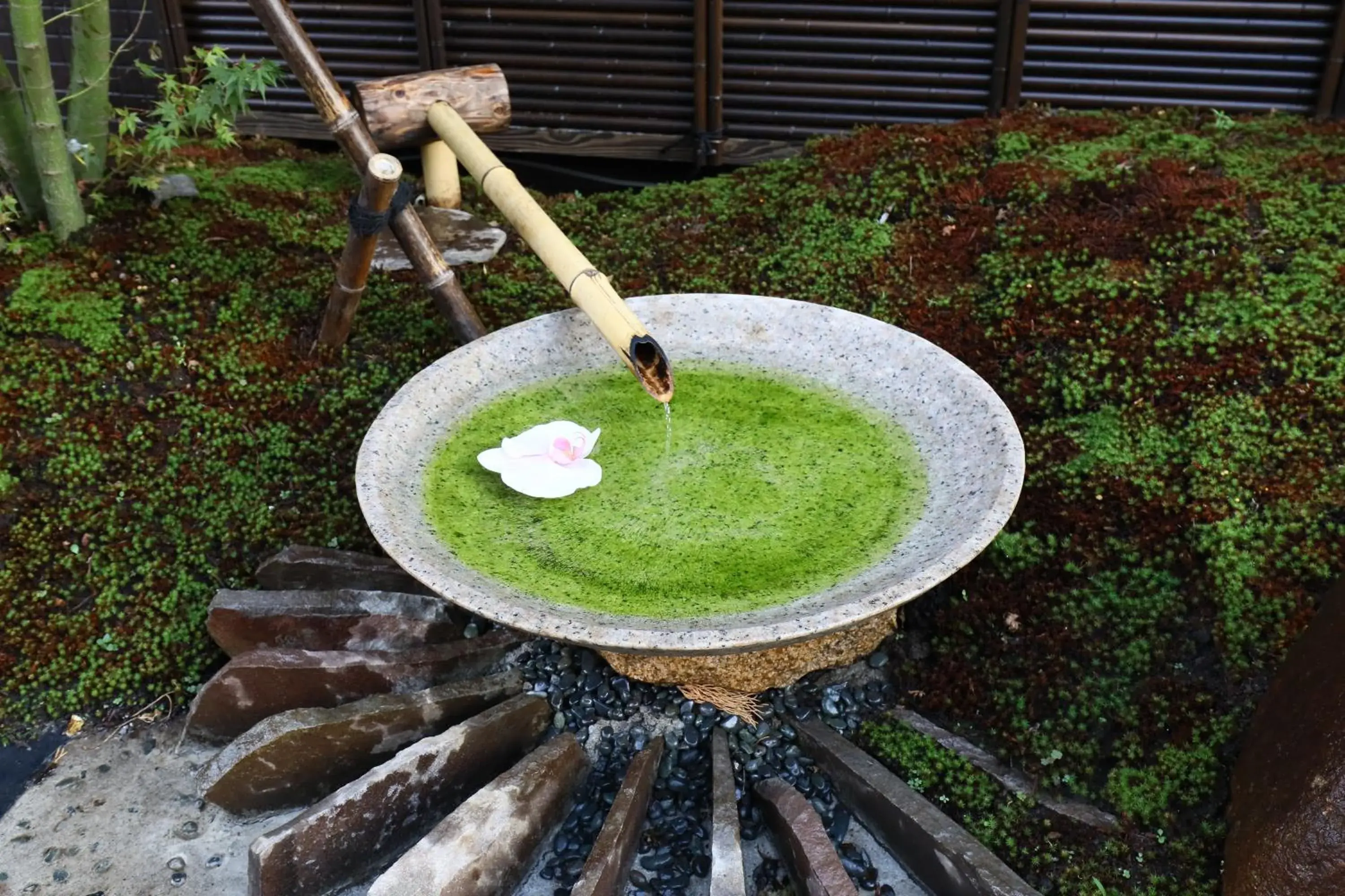 Garden view in Wa Style Tokyo Garden view in Wa Style Tokyo