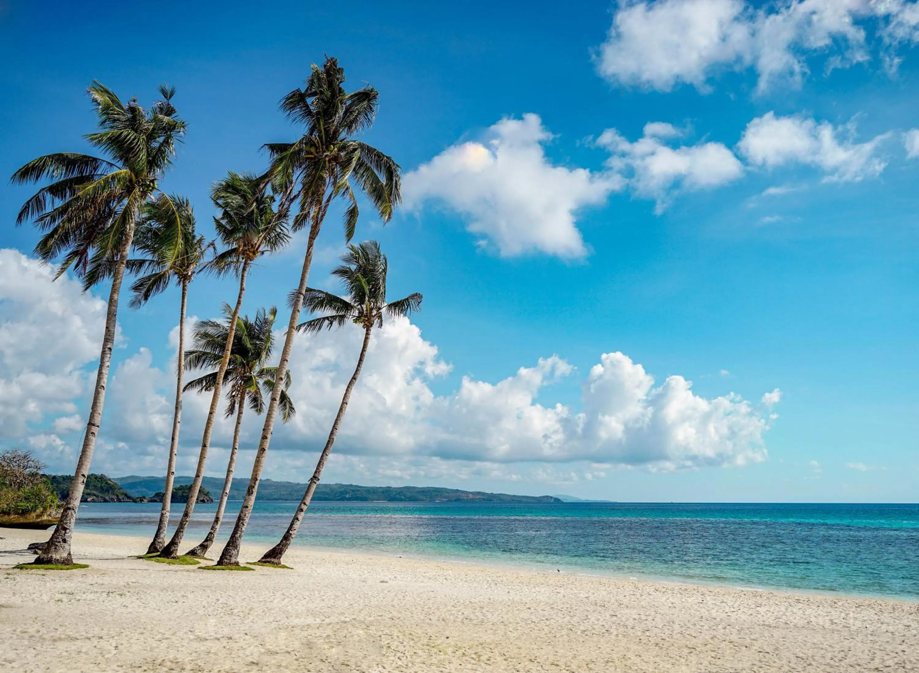 Natural landscape in Belmont Hotel Boracay near Newcoast Beach