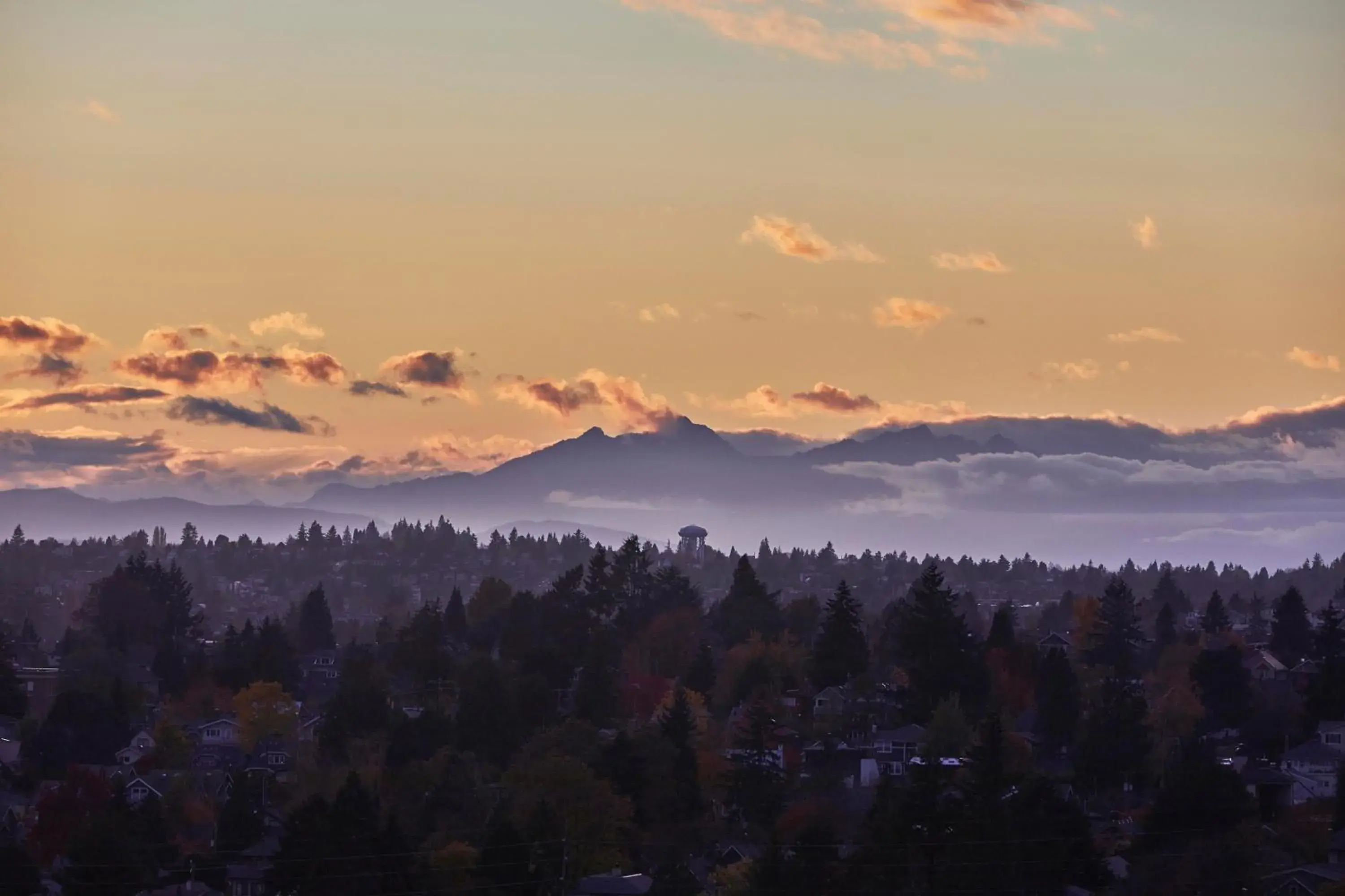 Landmark view in Graduate Seattle Landmark view in Graduate Seattle