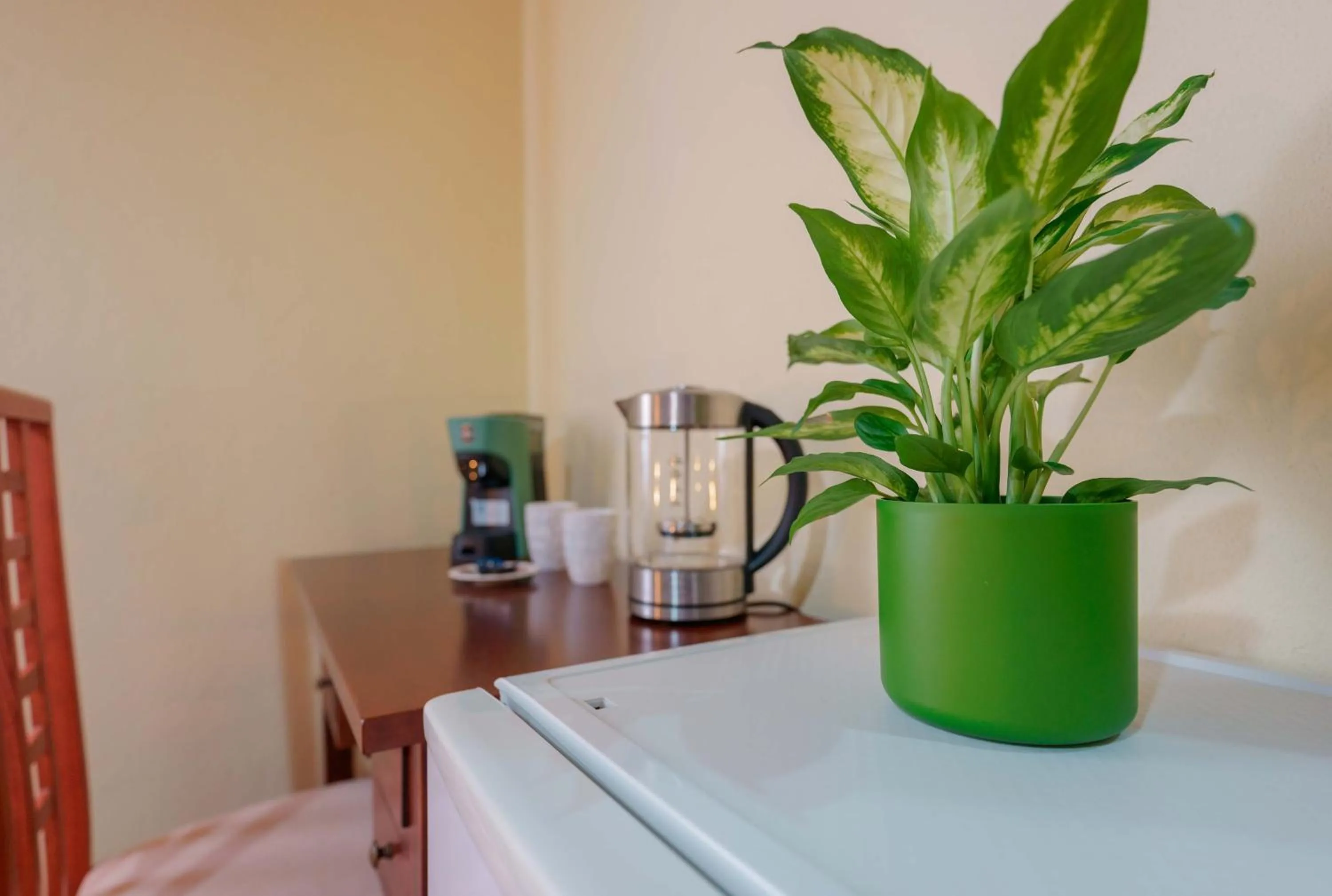 Coffee/tea facilities in B&B Gassa d'Amante