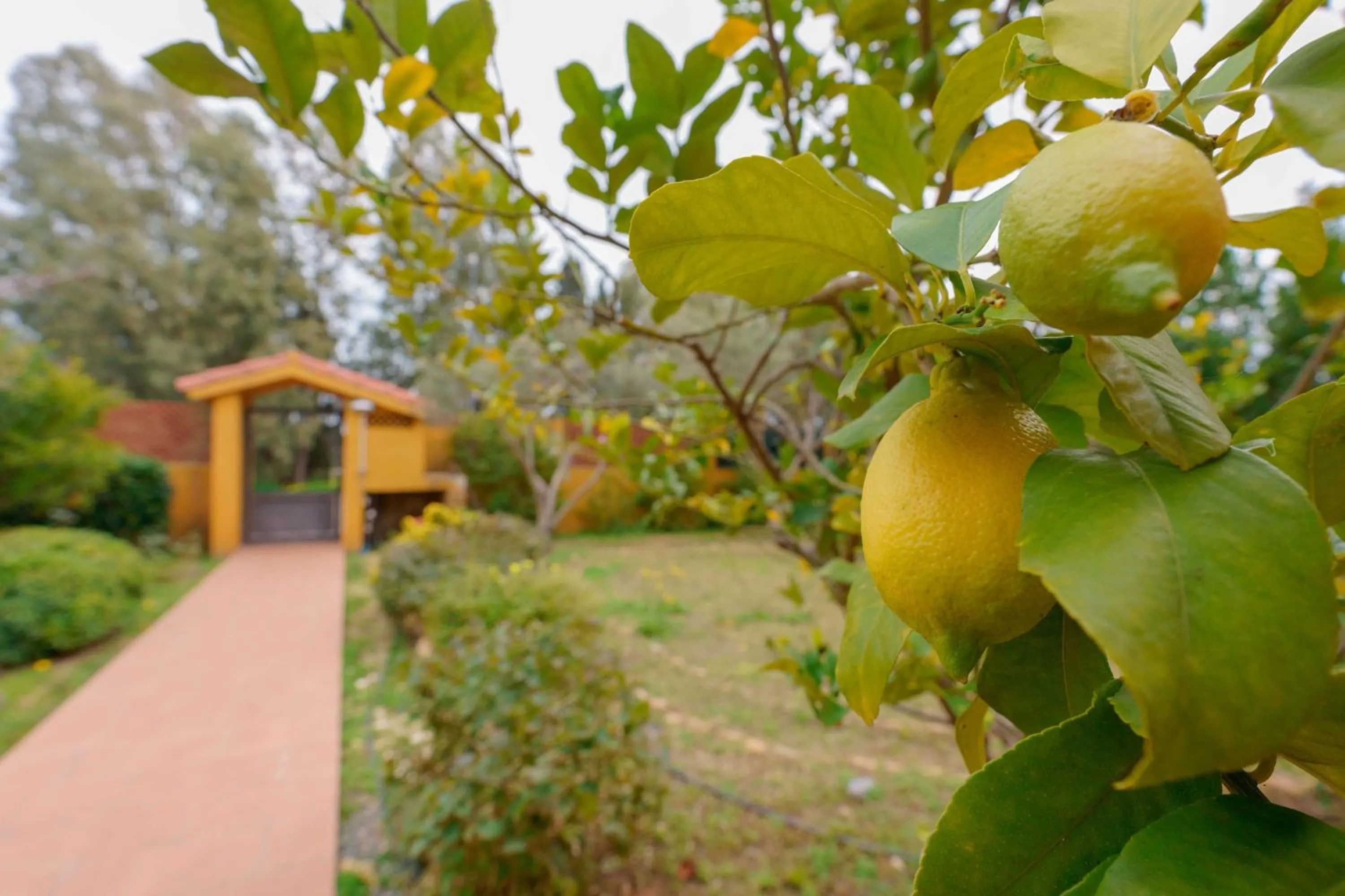 Spring in B&B Gassa d'Amante