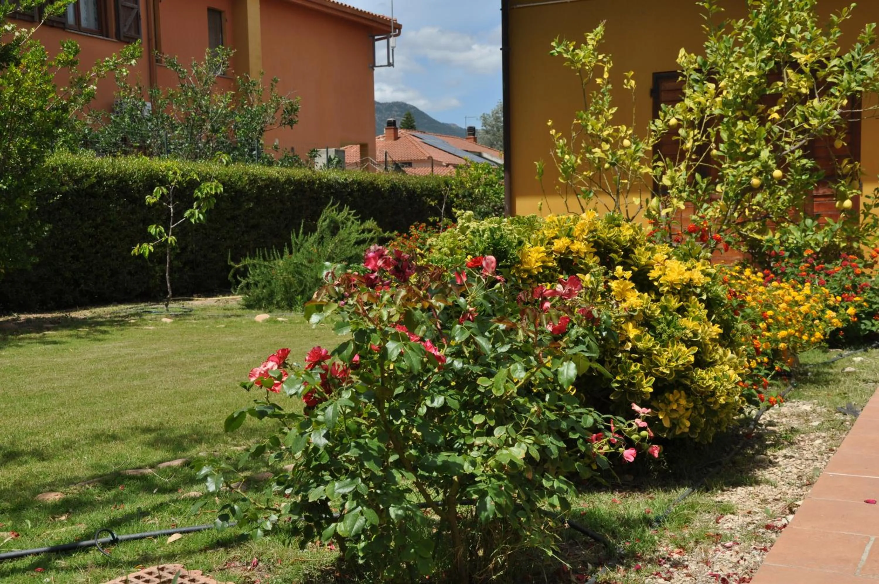 Garden view in B&B Gassa d'Amante