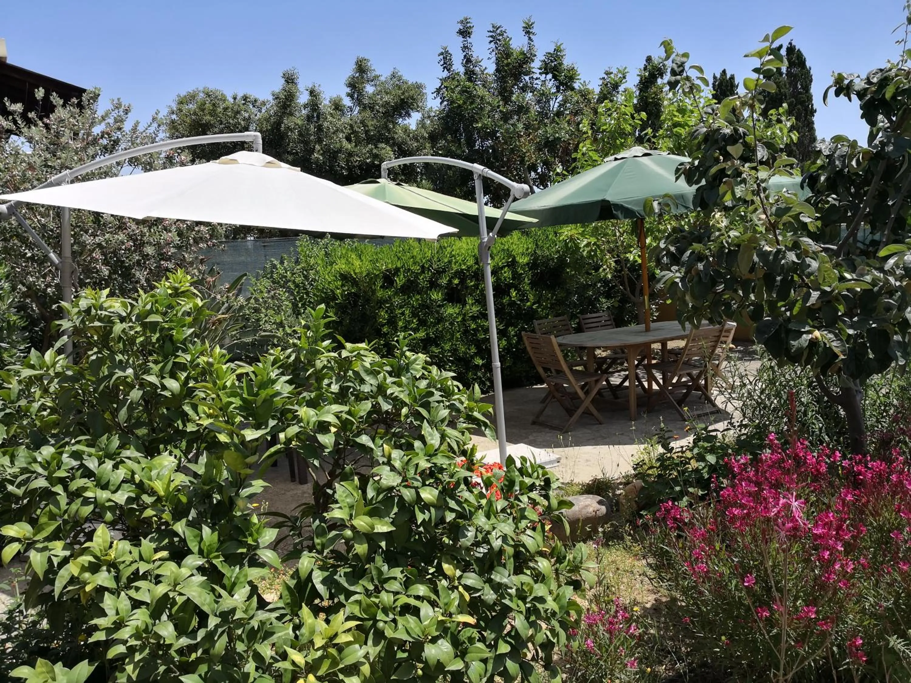 Garden in B&B Gassa d'Amante