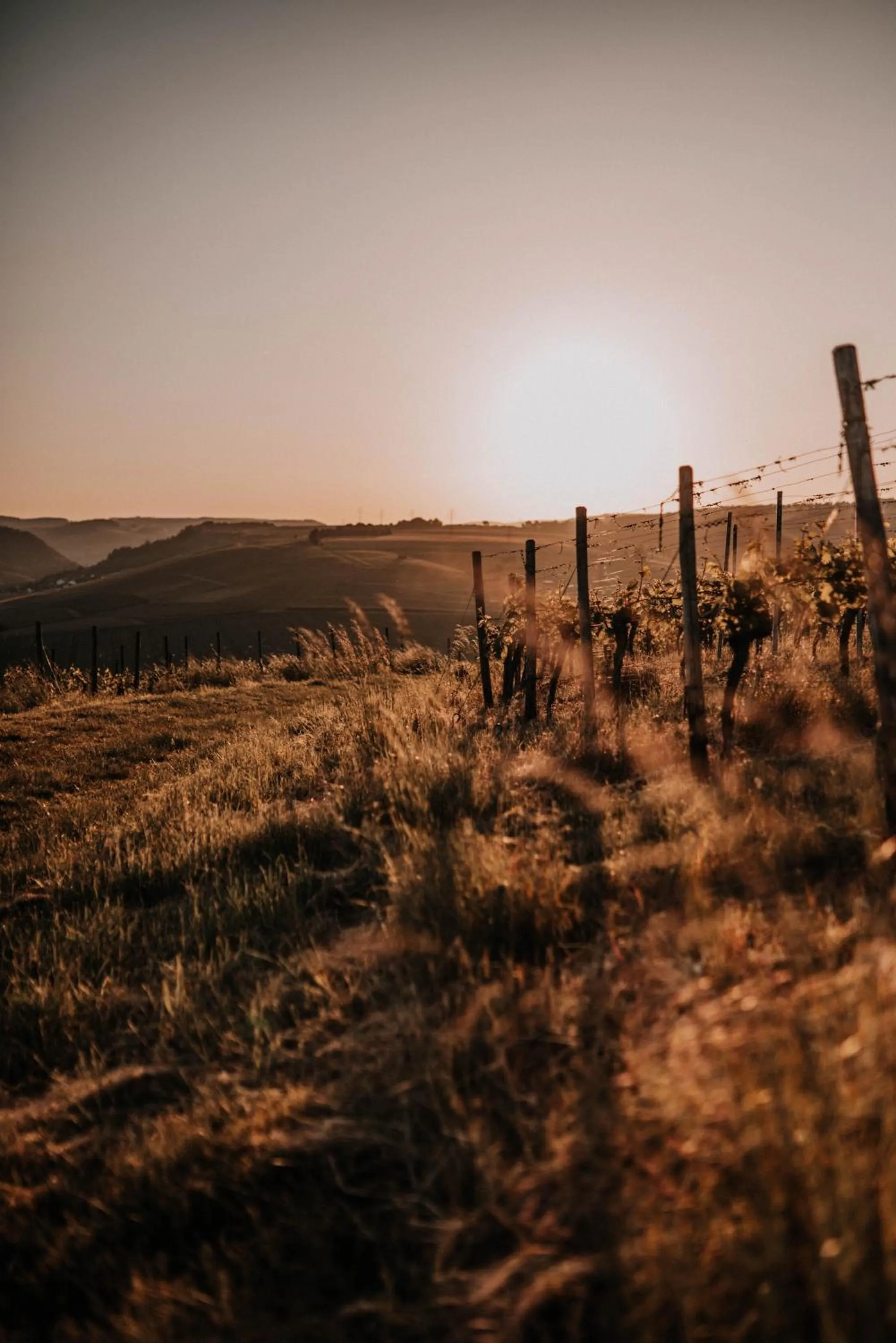 Natural landscape in Schmidtburger Hof