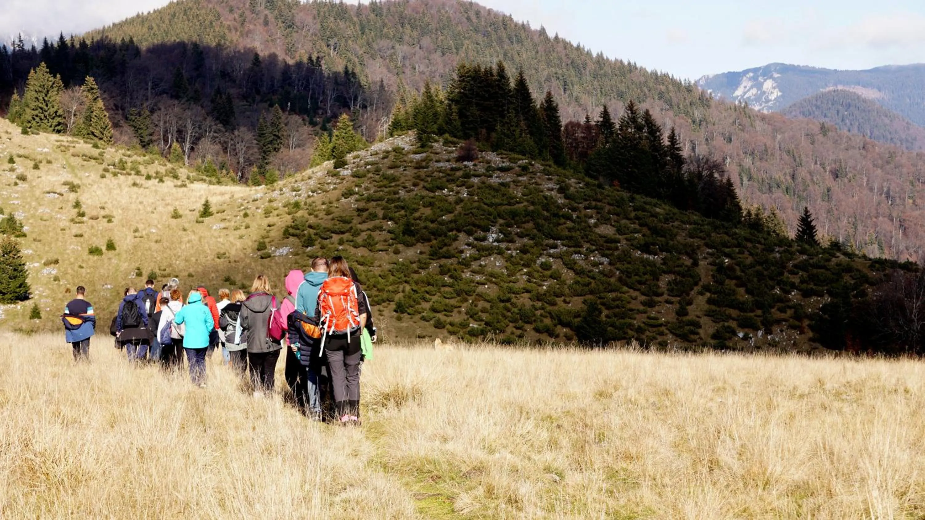 Nearby landmark in Ursa Mica Glamping Resort