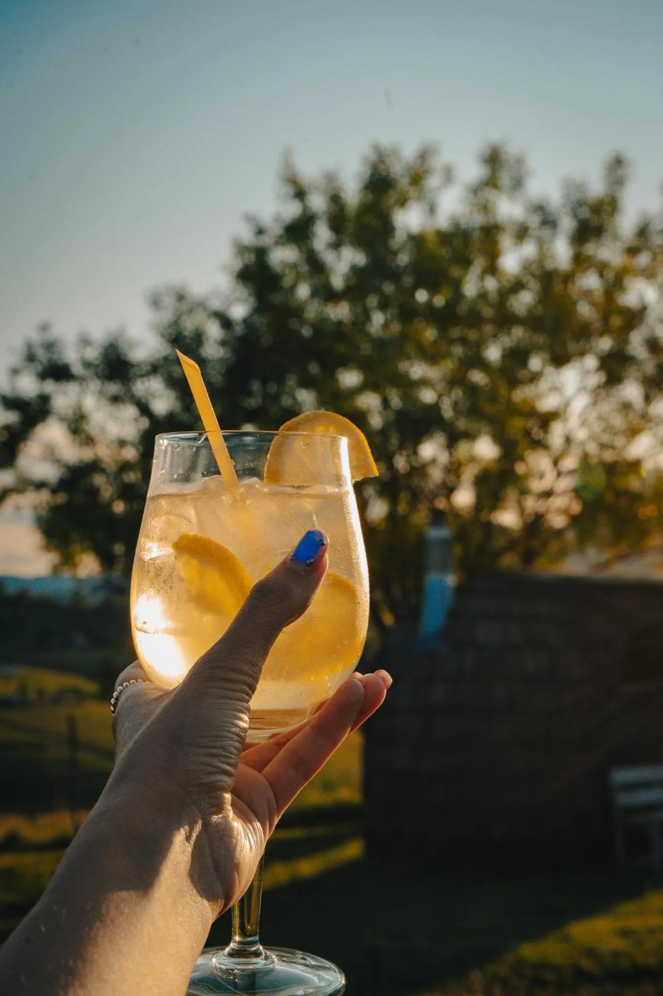 Lounge or bar in Ursa Mica Glamping Resort