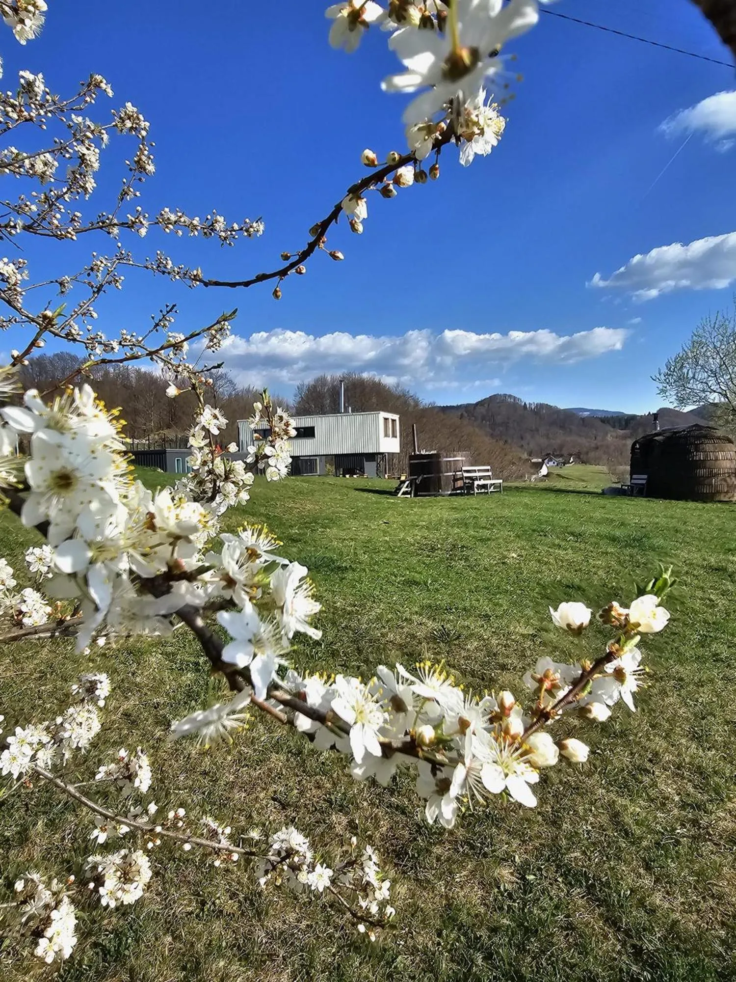 Restaurant/places to eat in Ursa Mica Glamping Resort