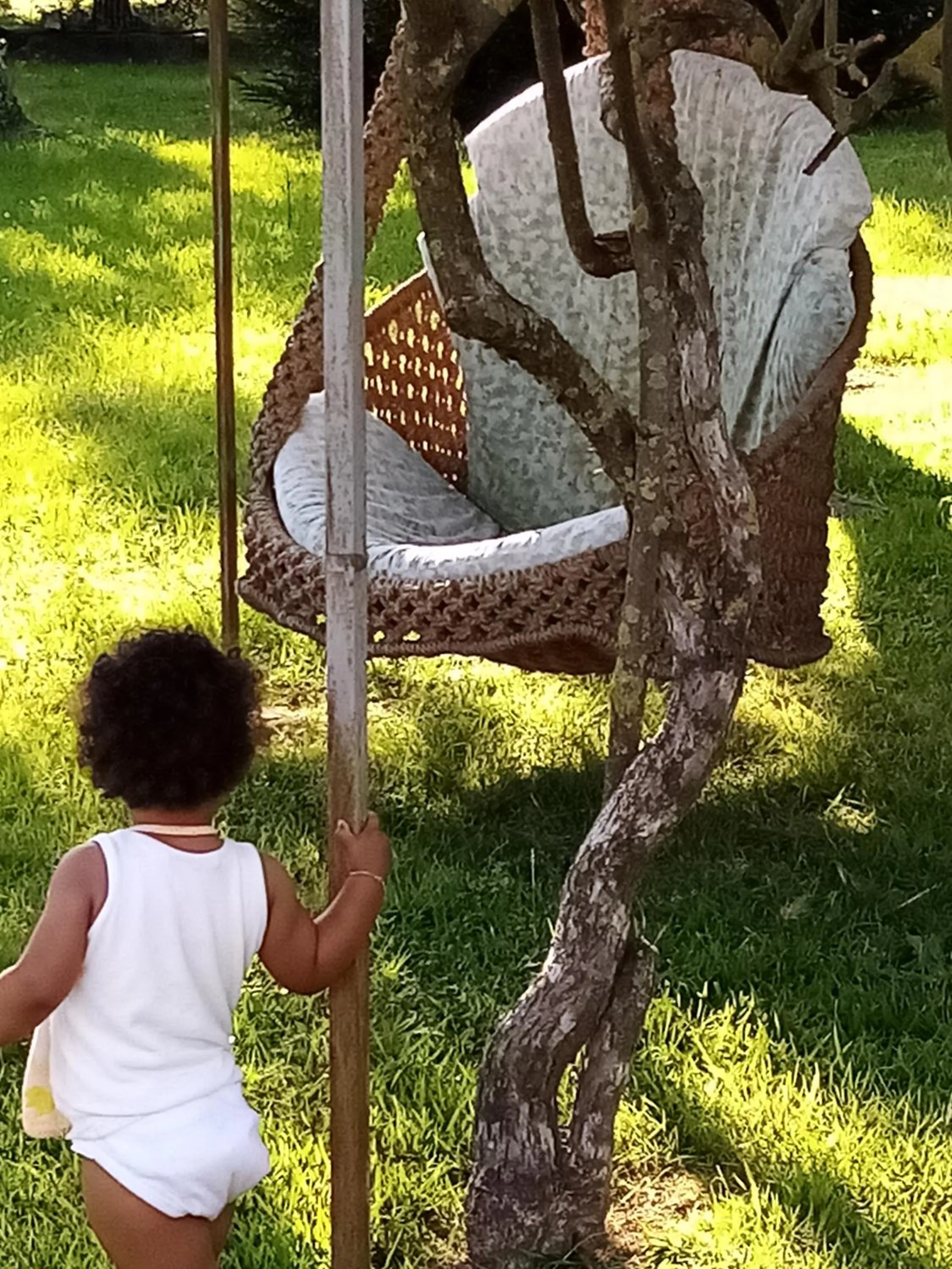 Garden in La Casa Gialla A MONTIGNOSO