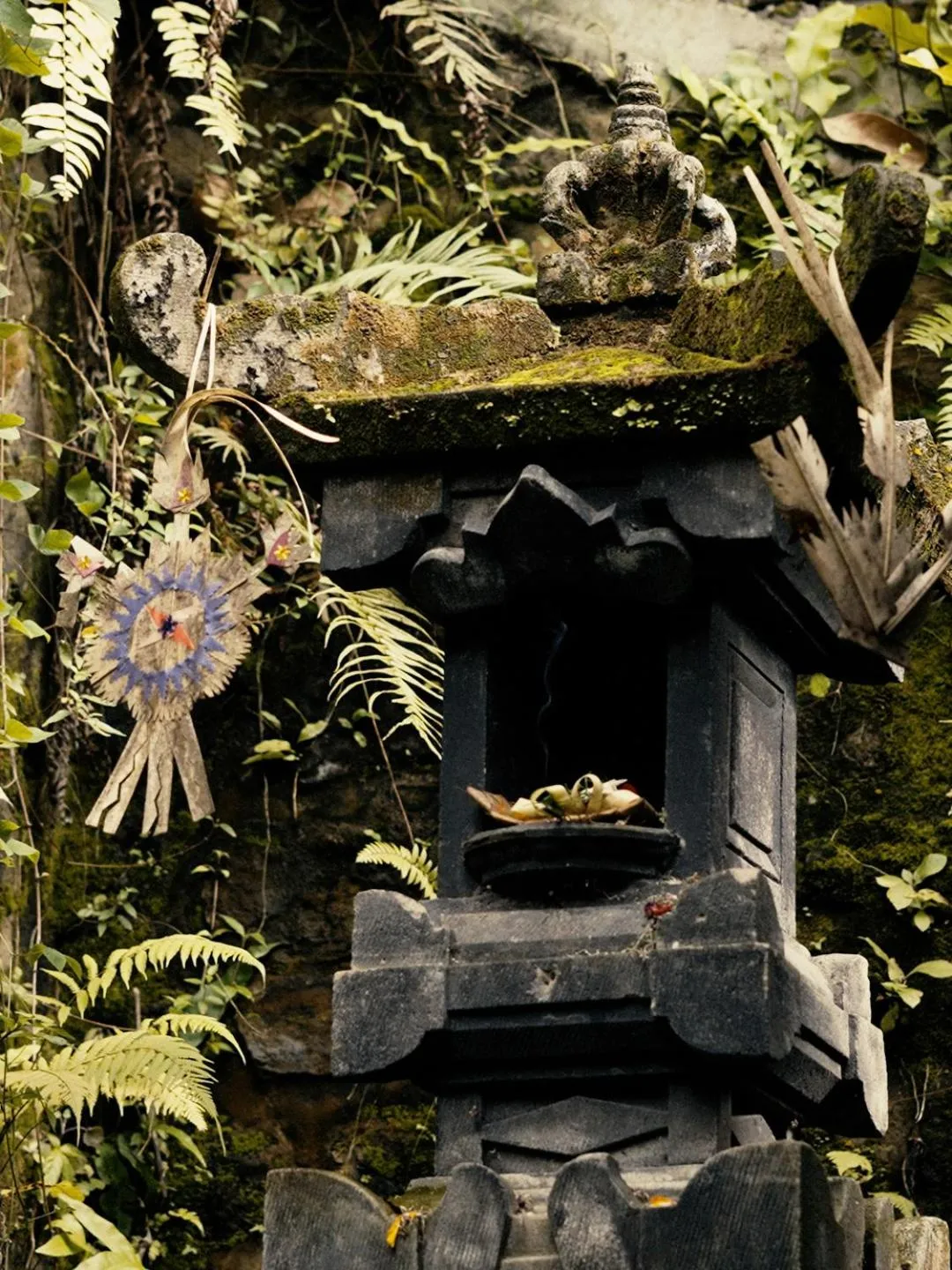 Garden view in Parvati Retreat Villas