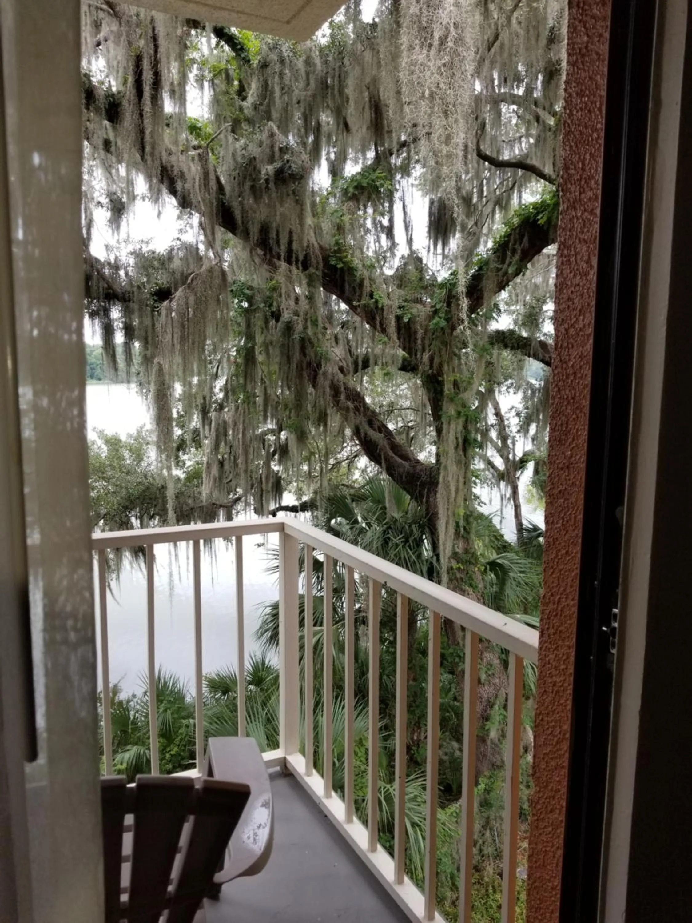 Lake view in Stayable Select Gainesville