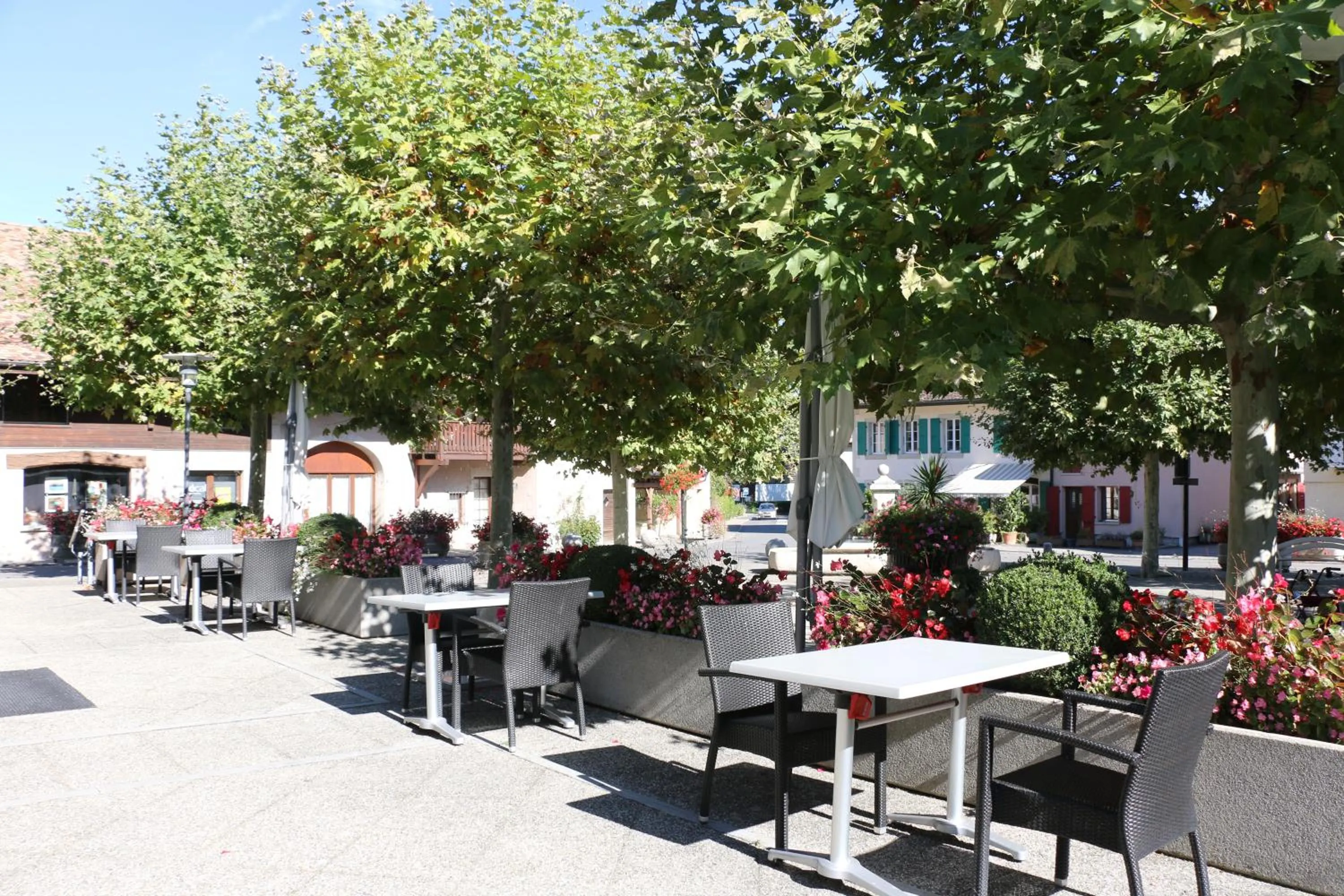 Restaurant/places to eat in Auberge Au Lion d'Or