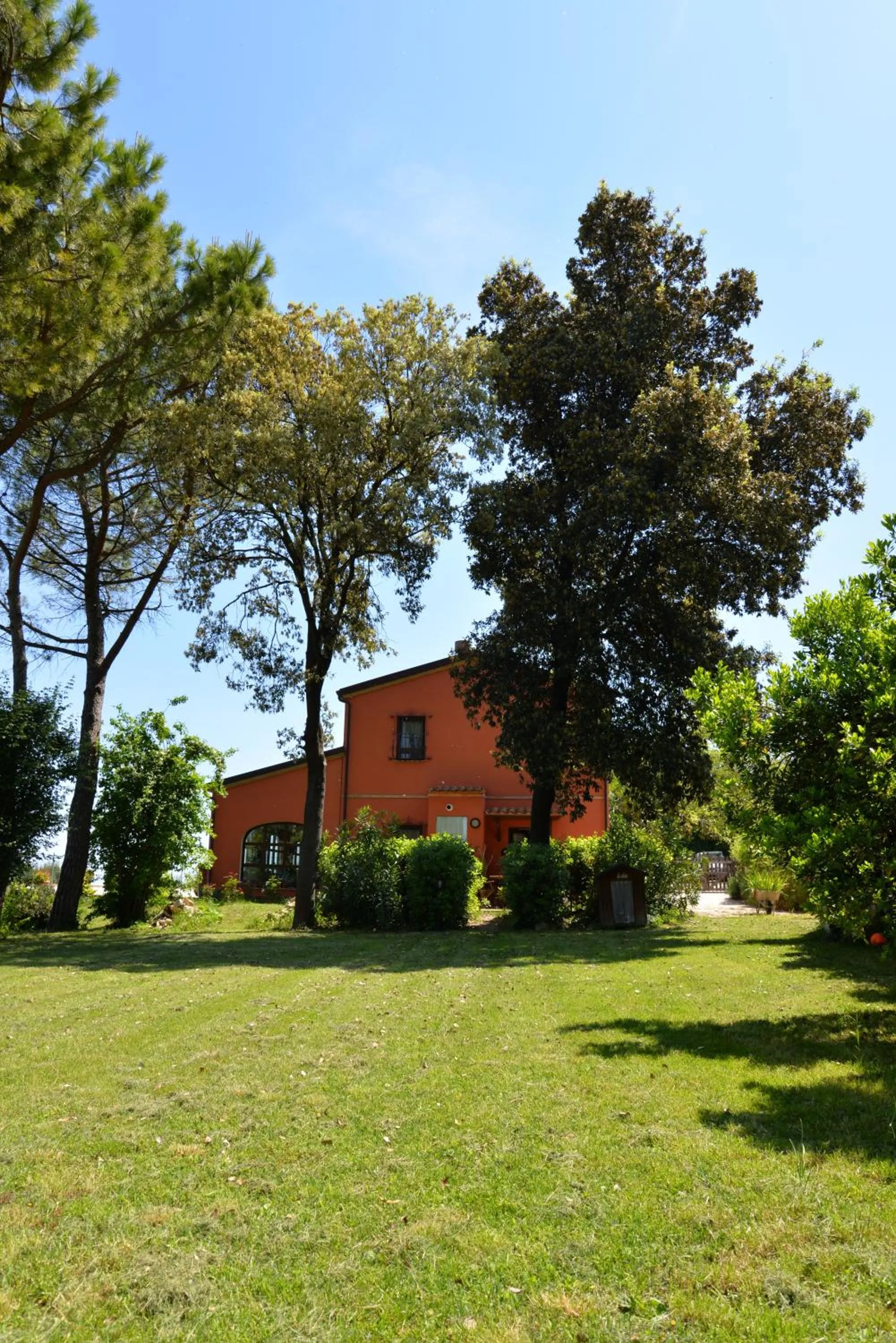 Garden in B&B Punto Magico