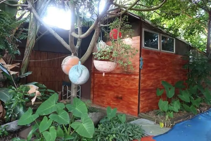 Garden view in Underwater Explorer