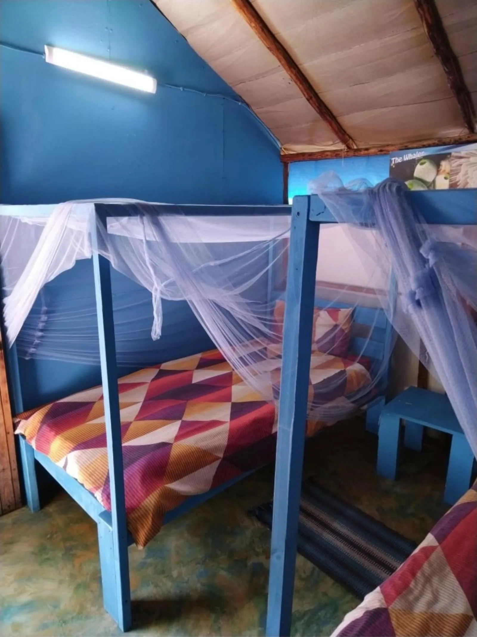 Bedroom, Bed in Underwater Explorer