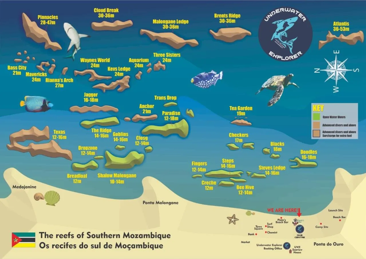 Diving in Underwater Explorer