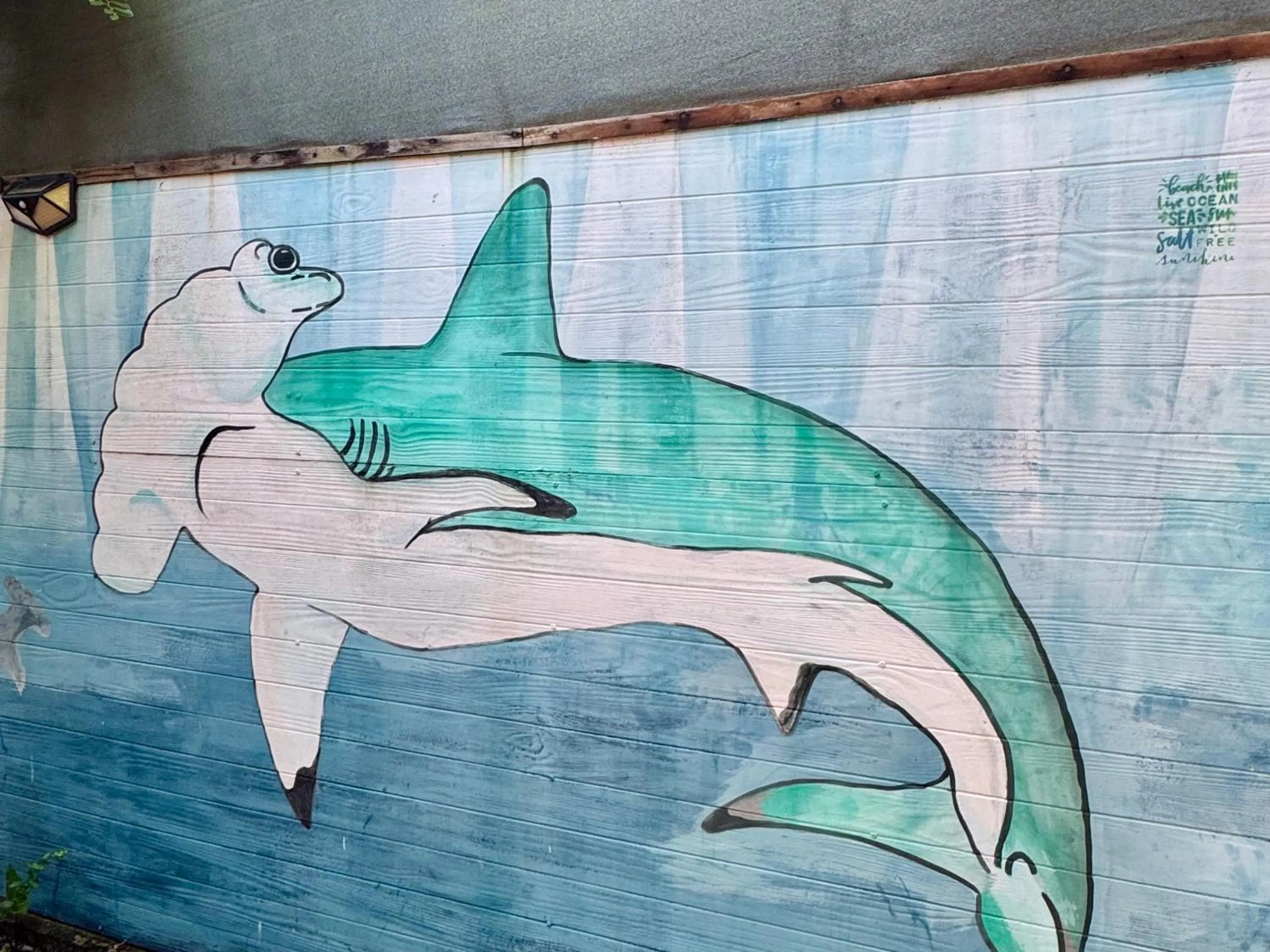 View (from property/room) in Underwater Explorer