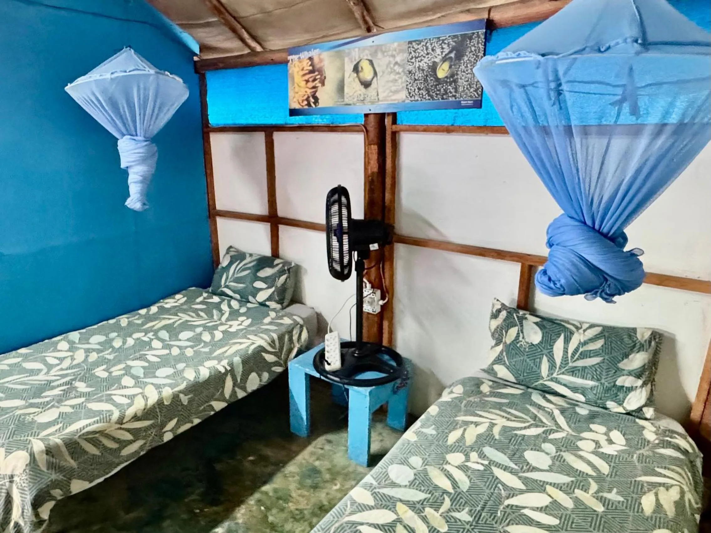 Photo of the whole room, Bed in Underwater Explorer