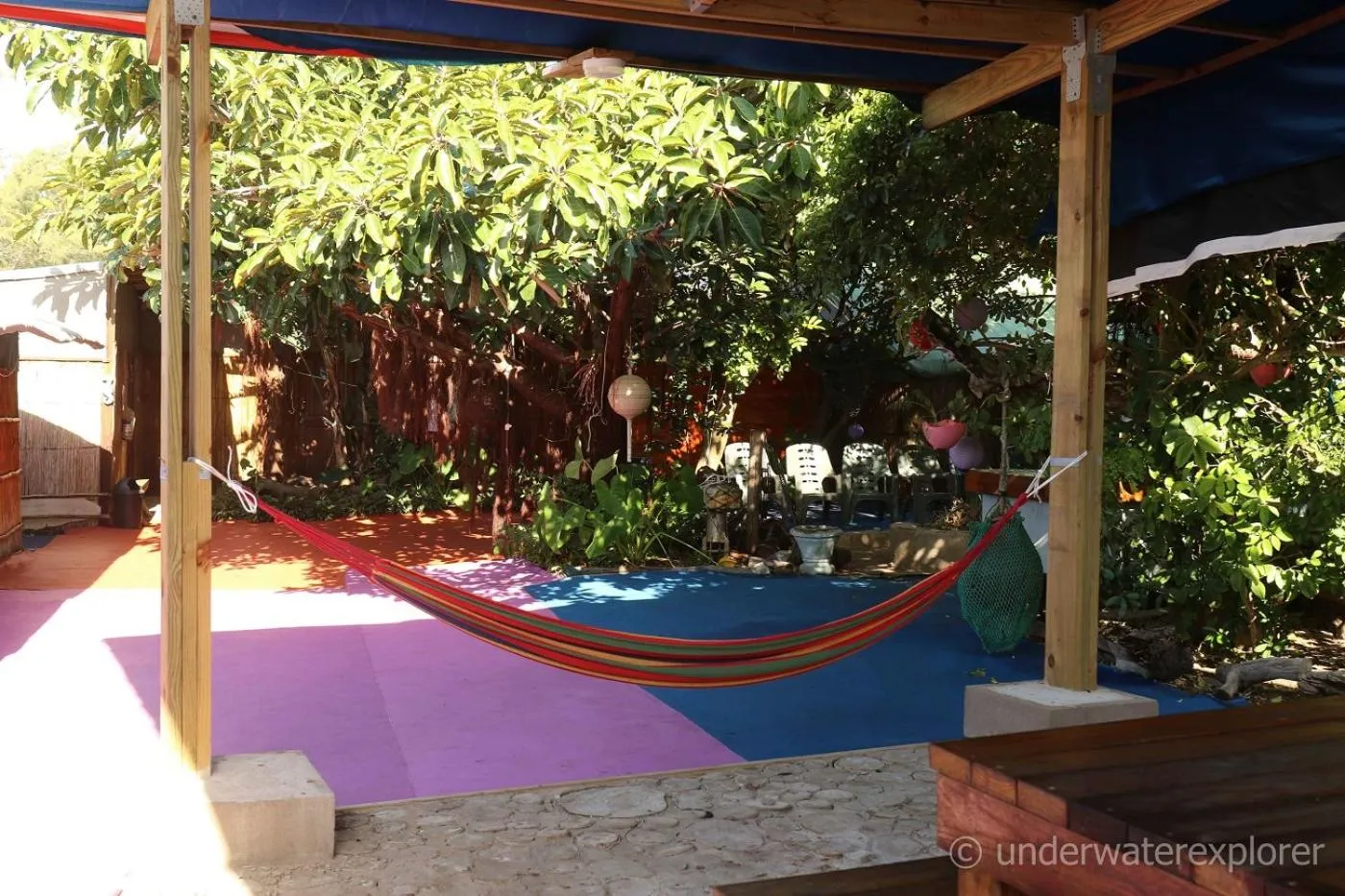 Garden in Underwater Explorer