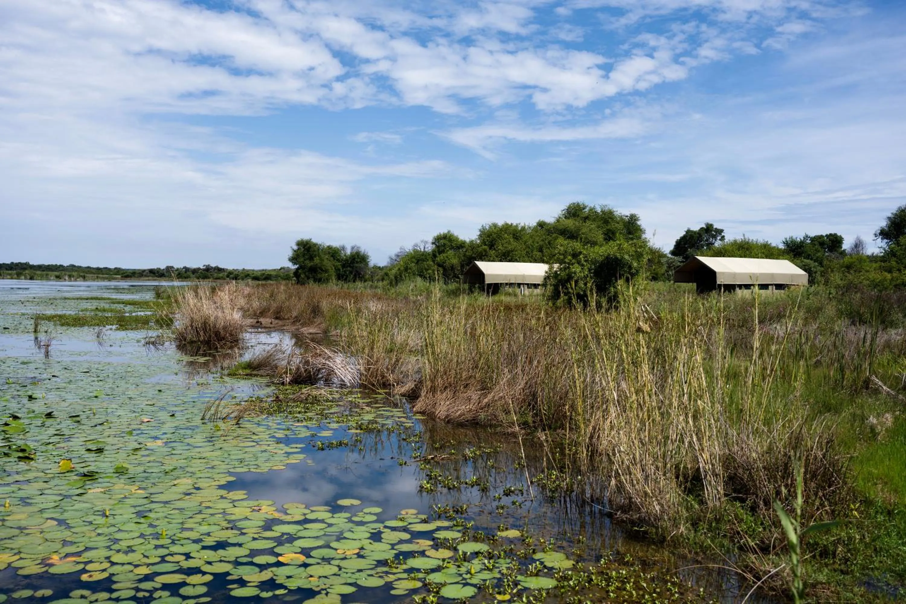 Garden in Little Mongena Tented Camp