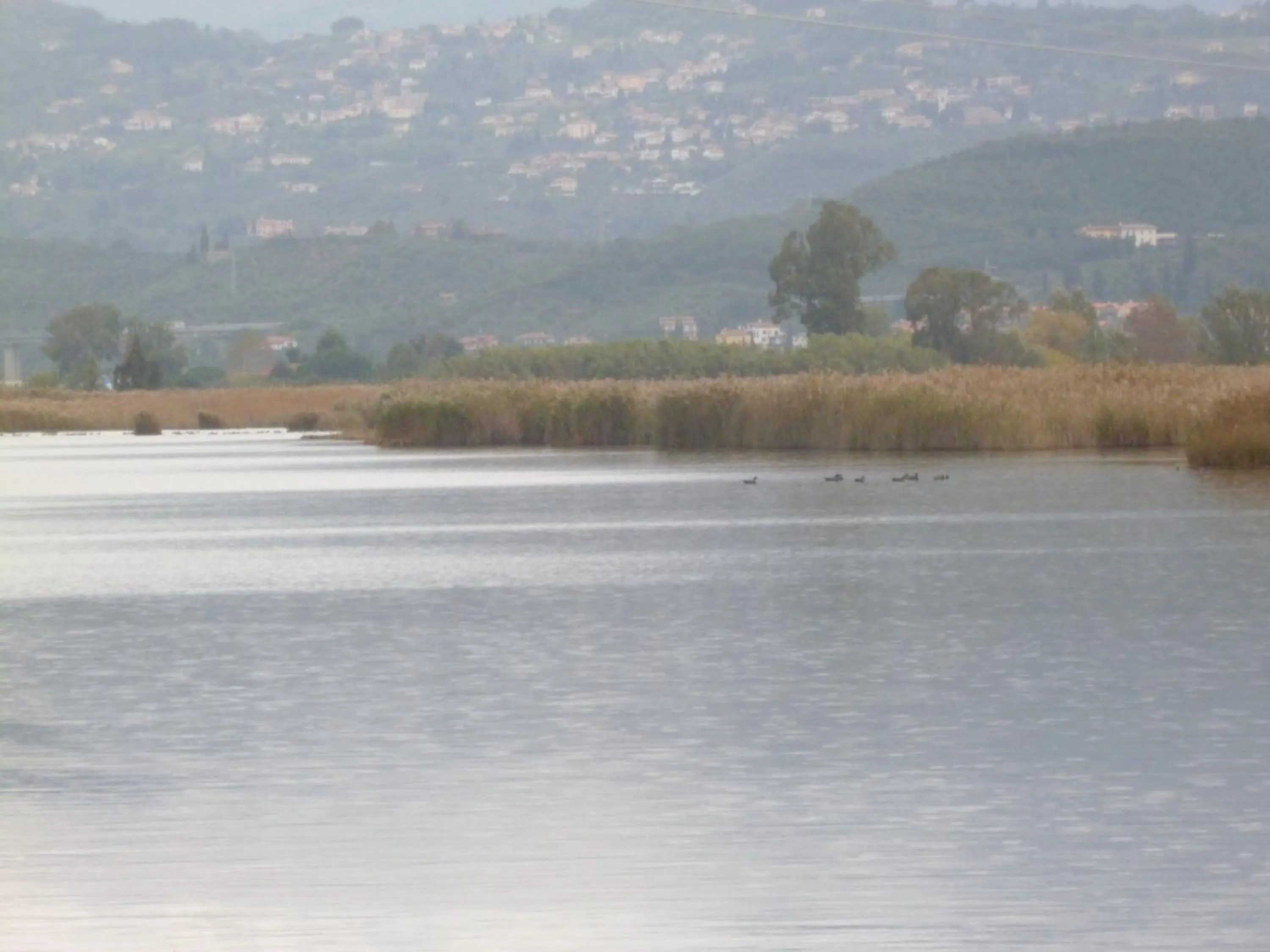Other in Le Ginestre B & B