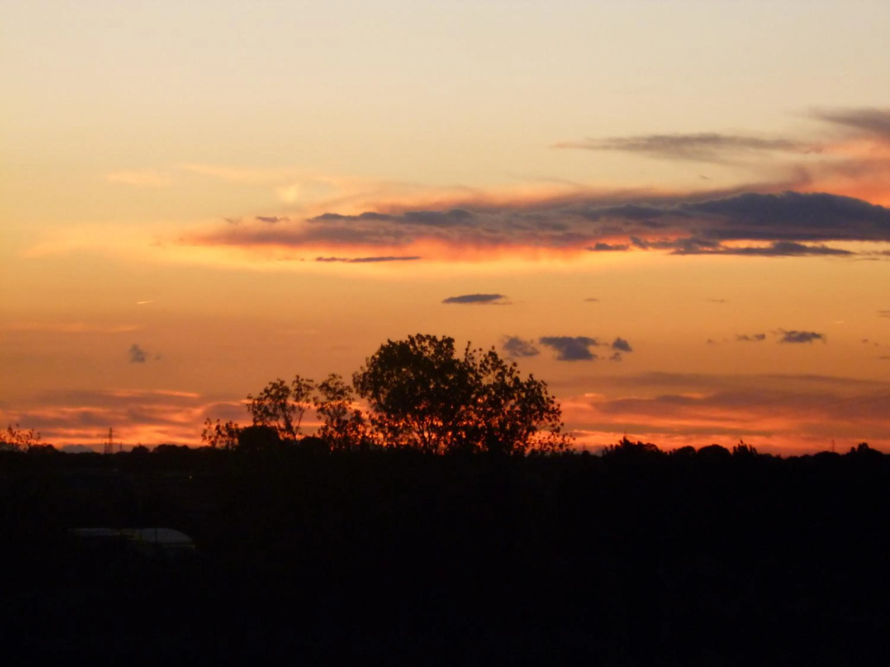 View (from property/room) in Le Ginestre B & B