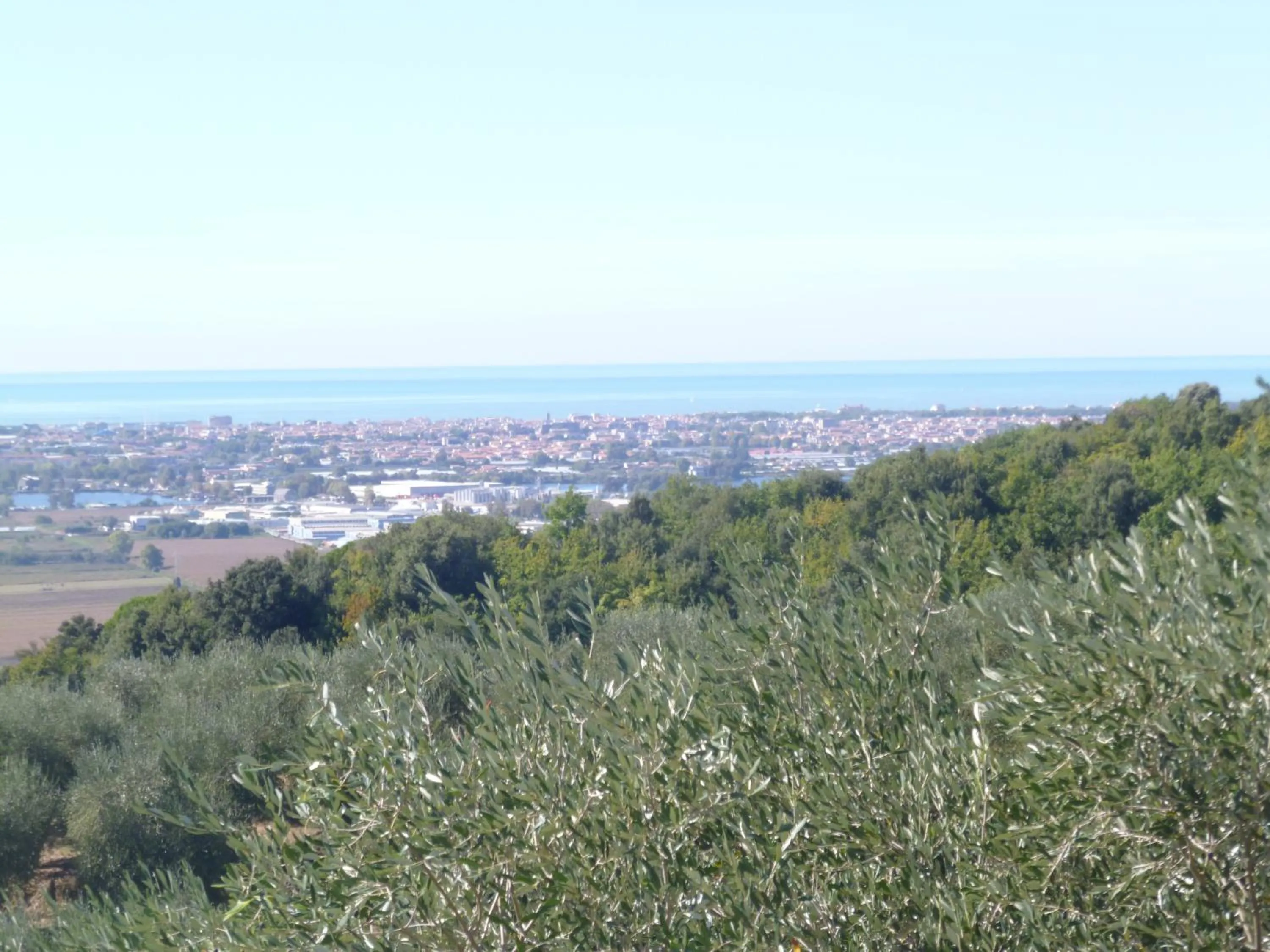 Bird's eye view in Le Ginestre B & B