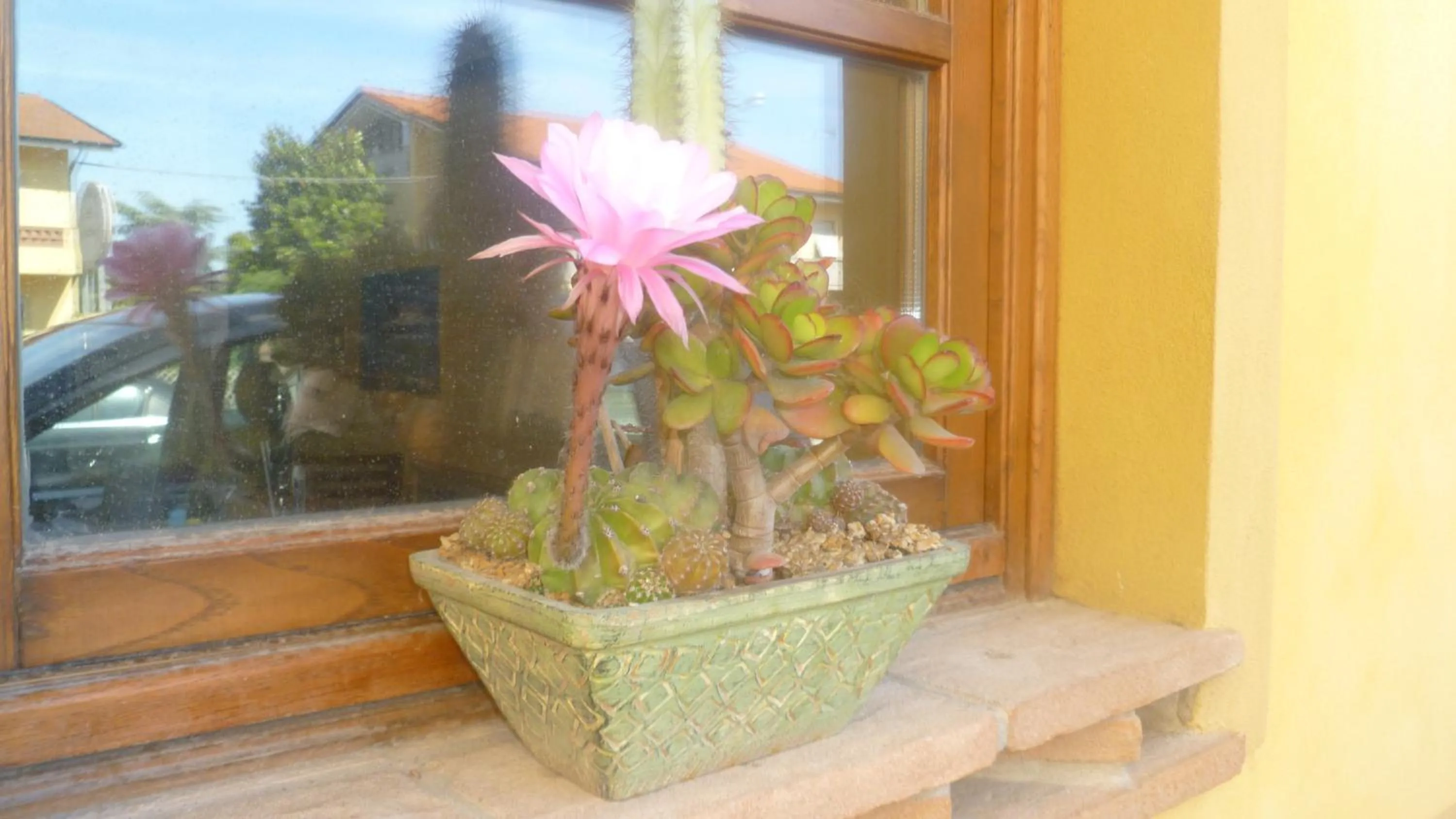 Decorative detail in Le Ginestre B & B