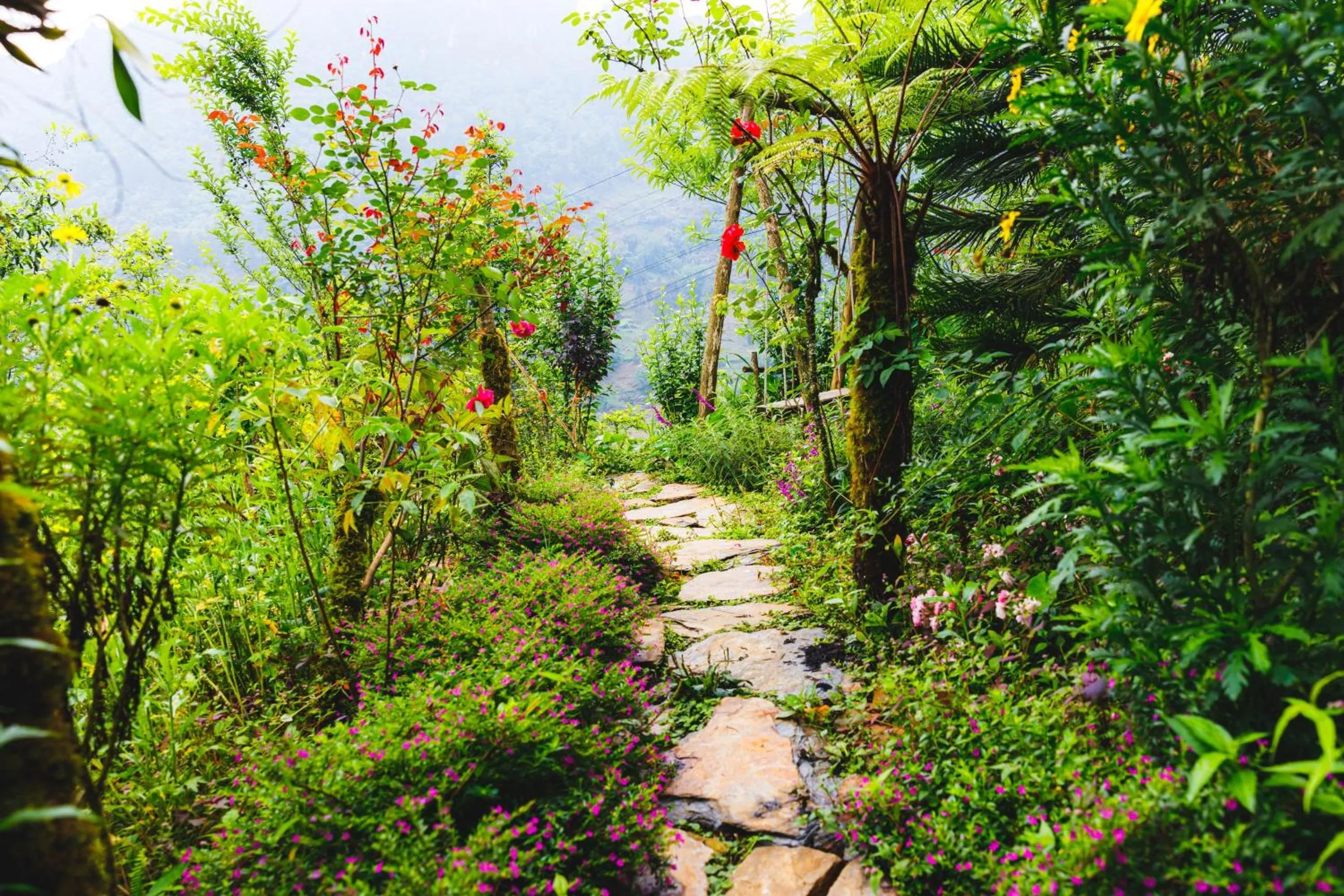 Natural landscape in The Link farmstay