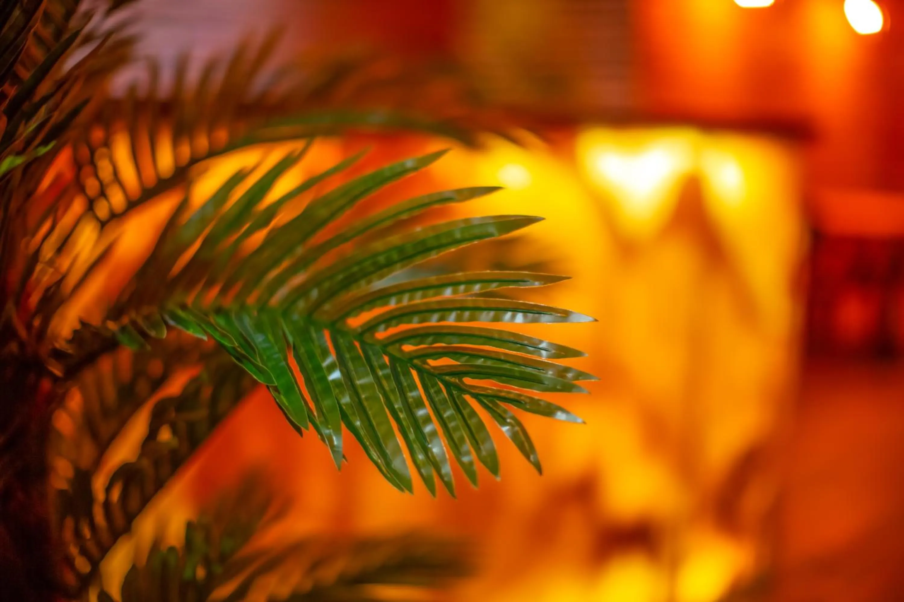 Lobby or reception in Royal Inn